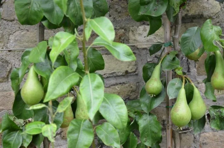 Other in B&B 't Withuis