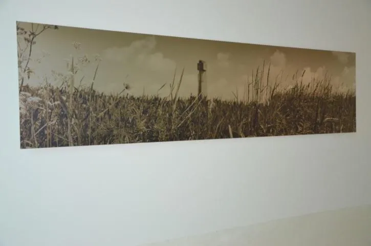 Decorative detail in B&B 't Withuis