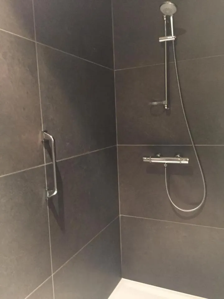 Shower in B&B 't Withuis