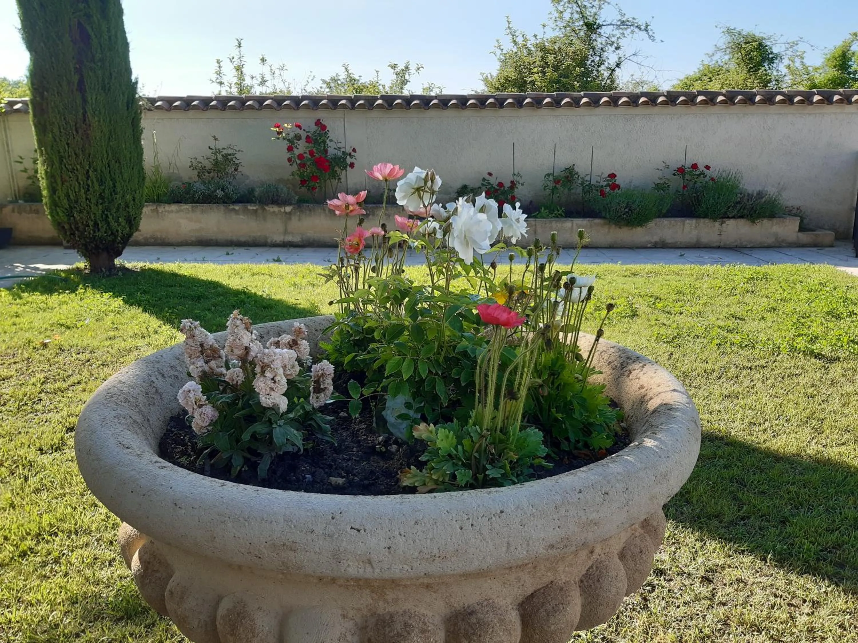 Patio in LE MAS DES FLANERAIES
