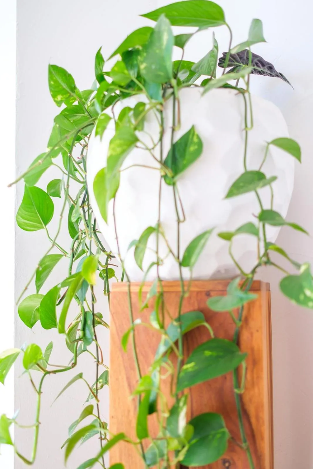 Property building in LE MAS DES FLANERAIES