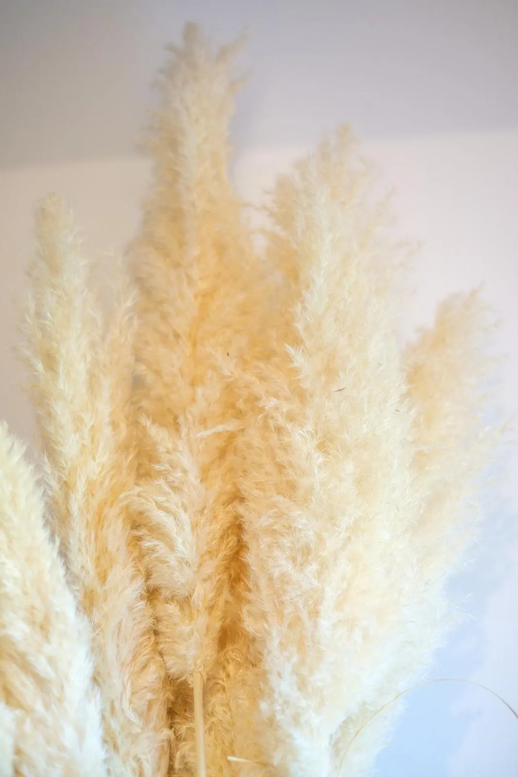 Decorative detail in LE MAS DES FLANERAIES