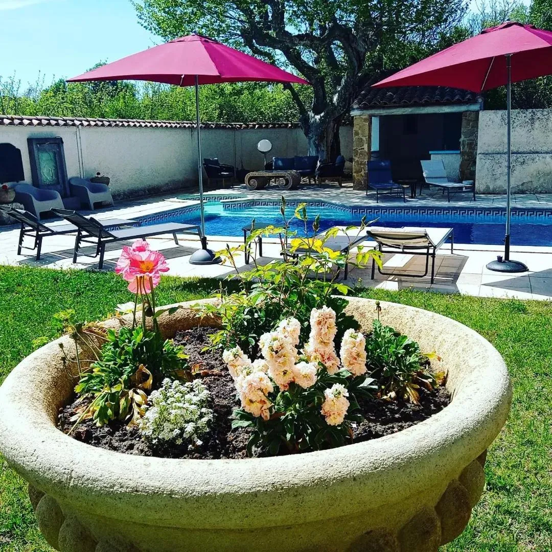 Garden in LE MAS DES FLANERAIES