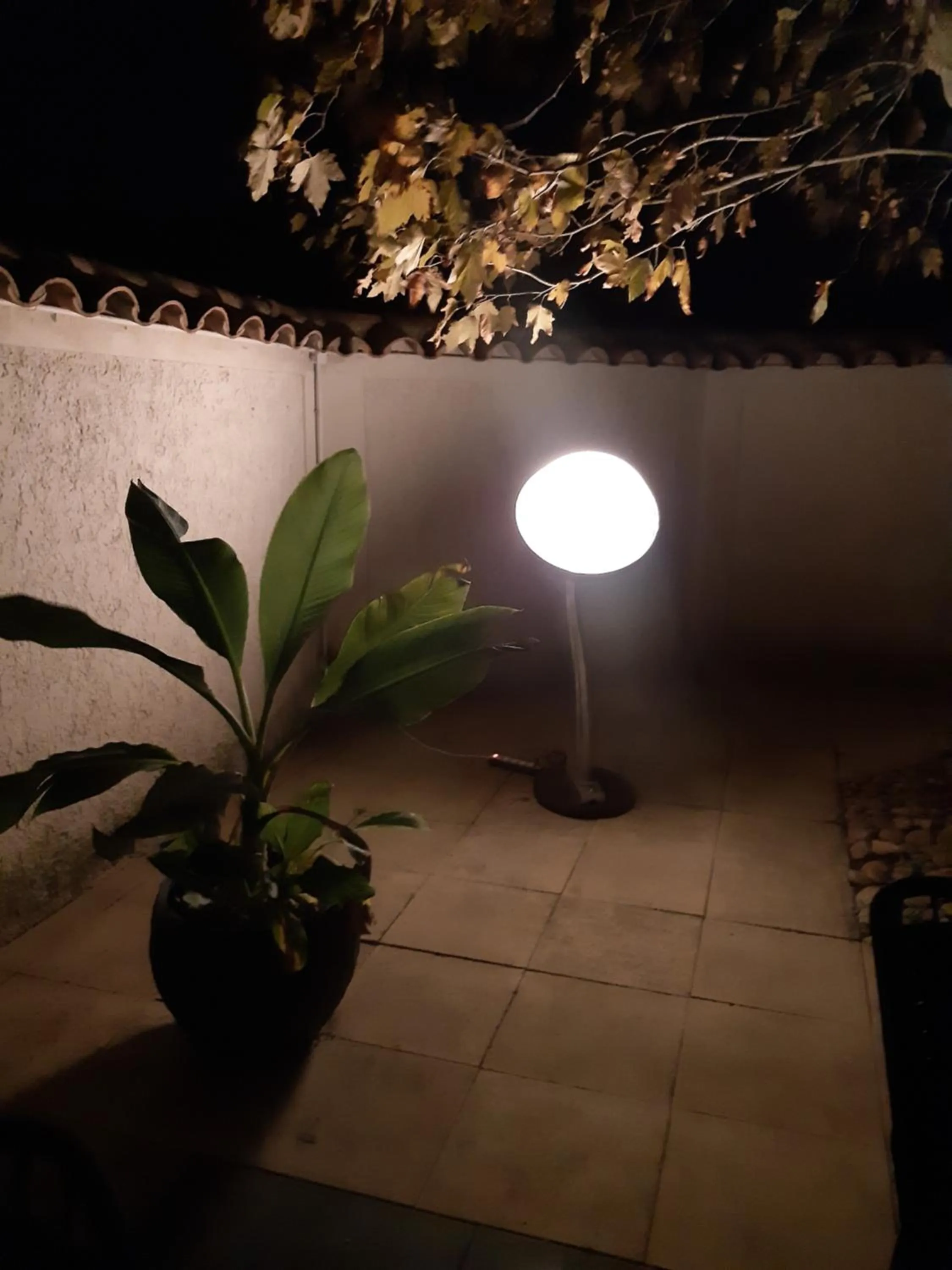 Garden in LE MAS DES FLANERAIES