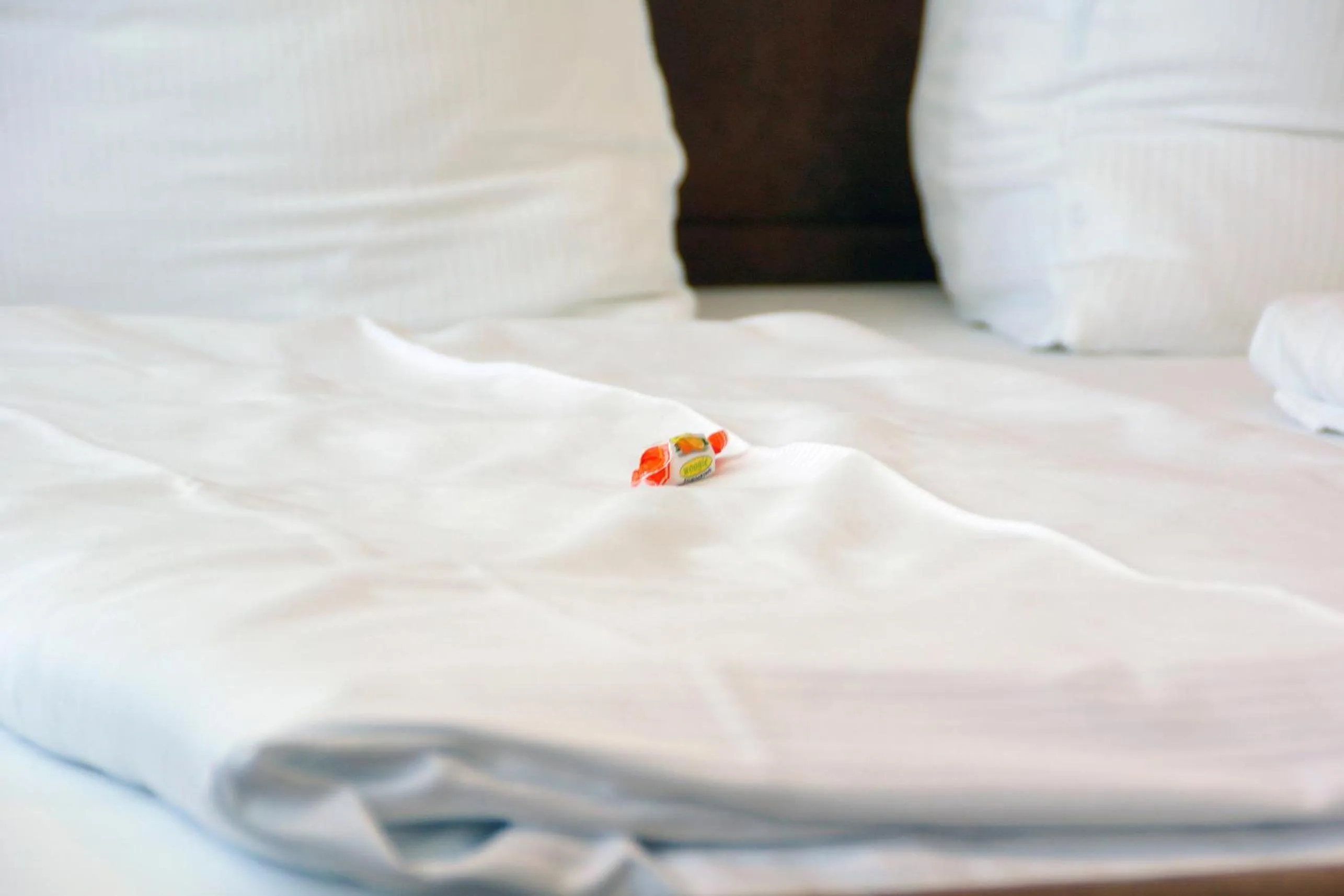 Bed in Panoramagasthof DaxLueg