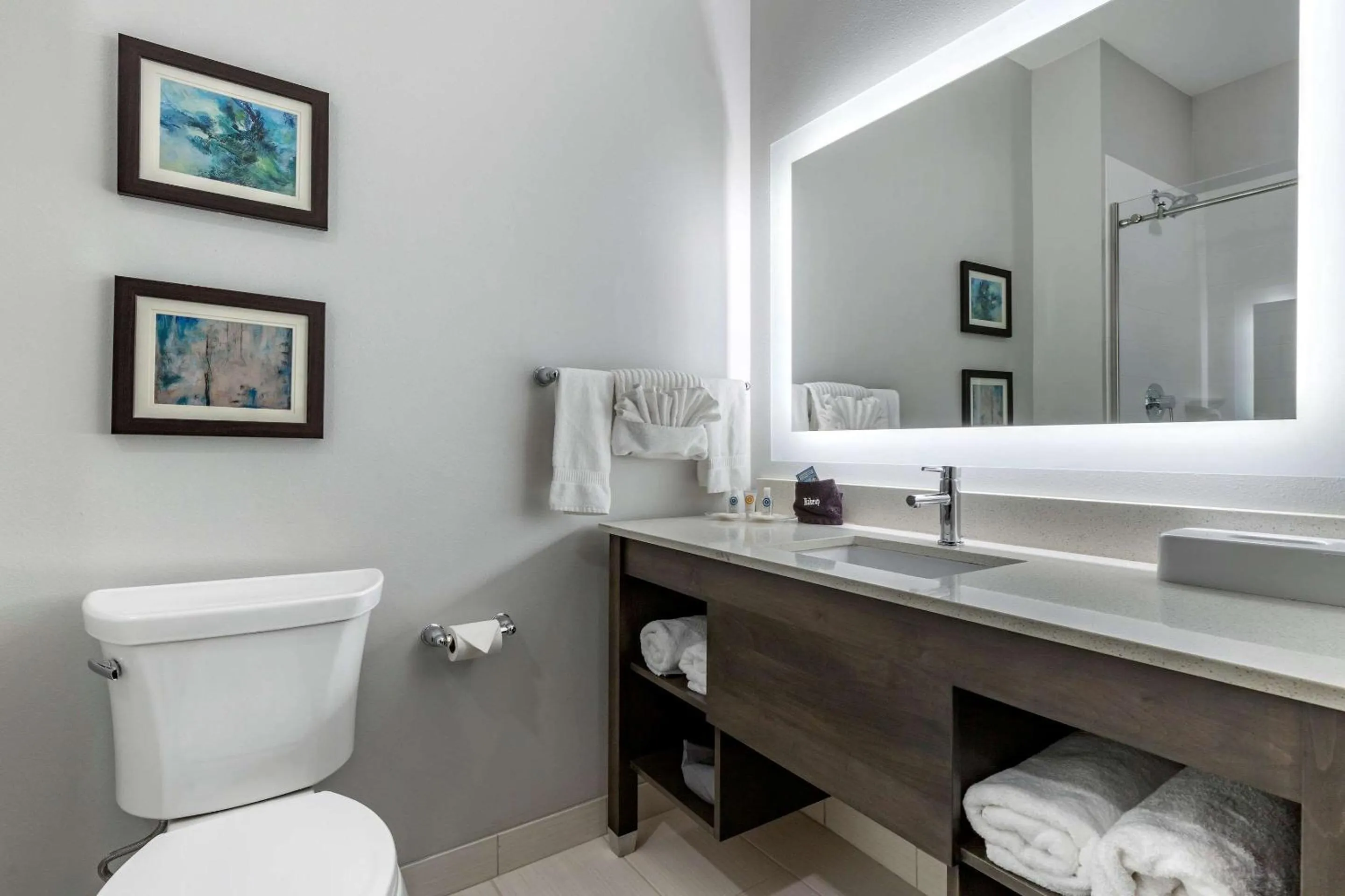 Photo of the whole room in Comfort Suites Greenville Airport