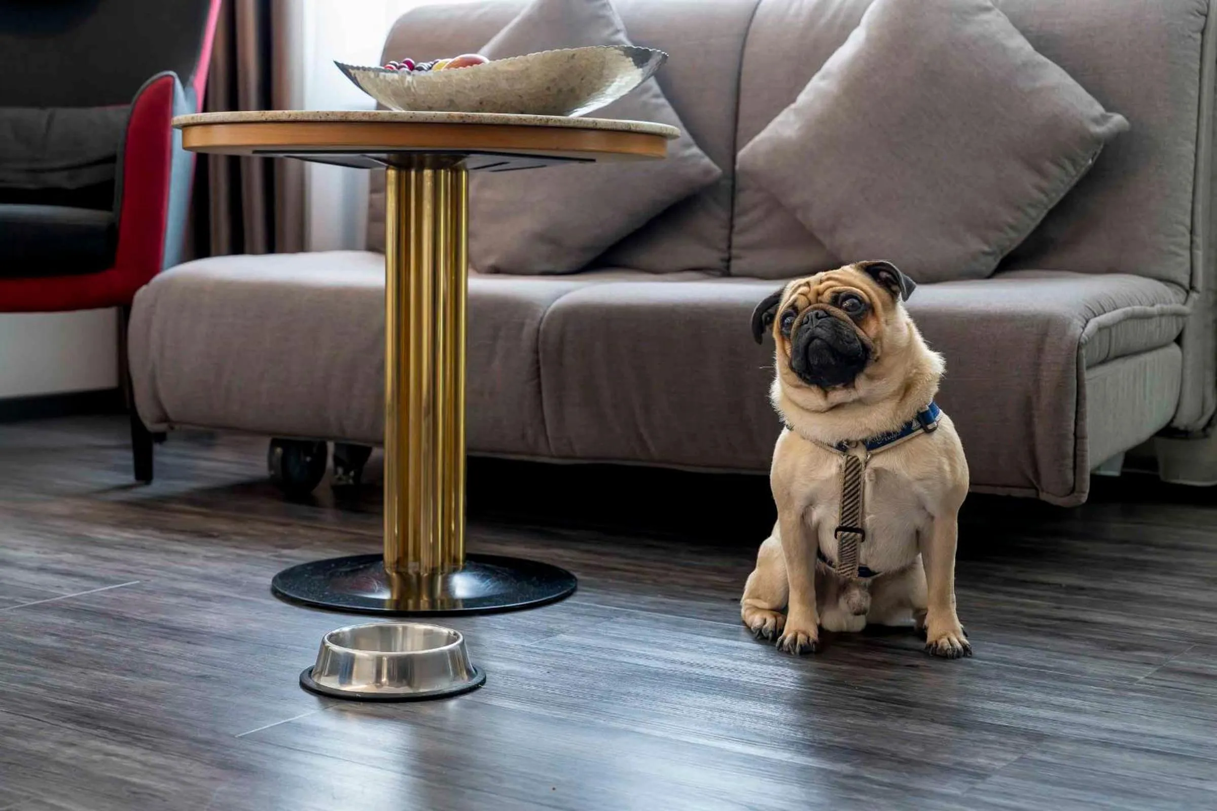 Seating area in PLAZA INN Blankenburg Ditzingen, Sure Hotel Collection