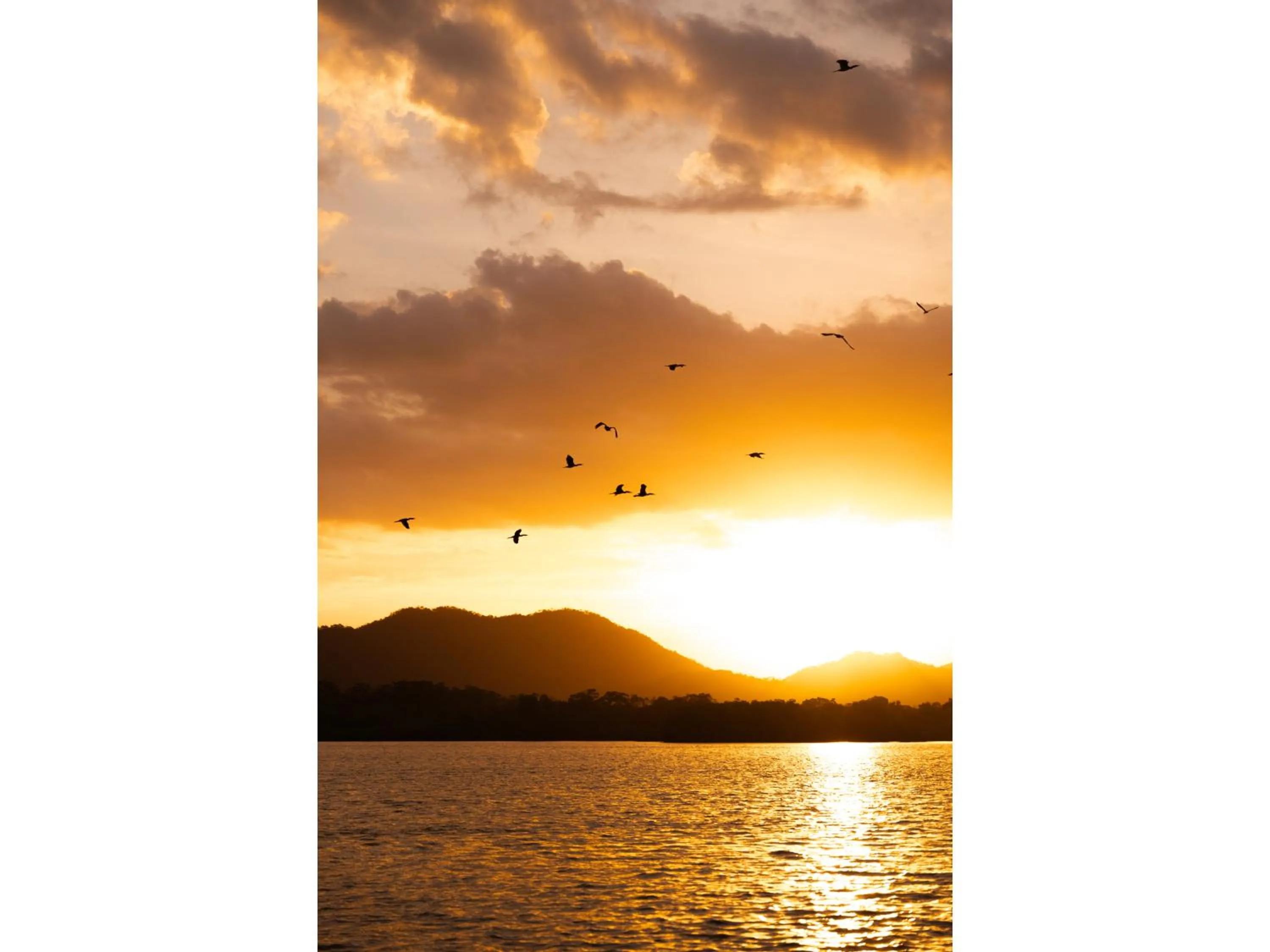 Natural landscape in Catalina's Hideaway