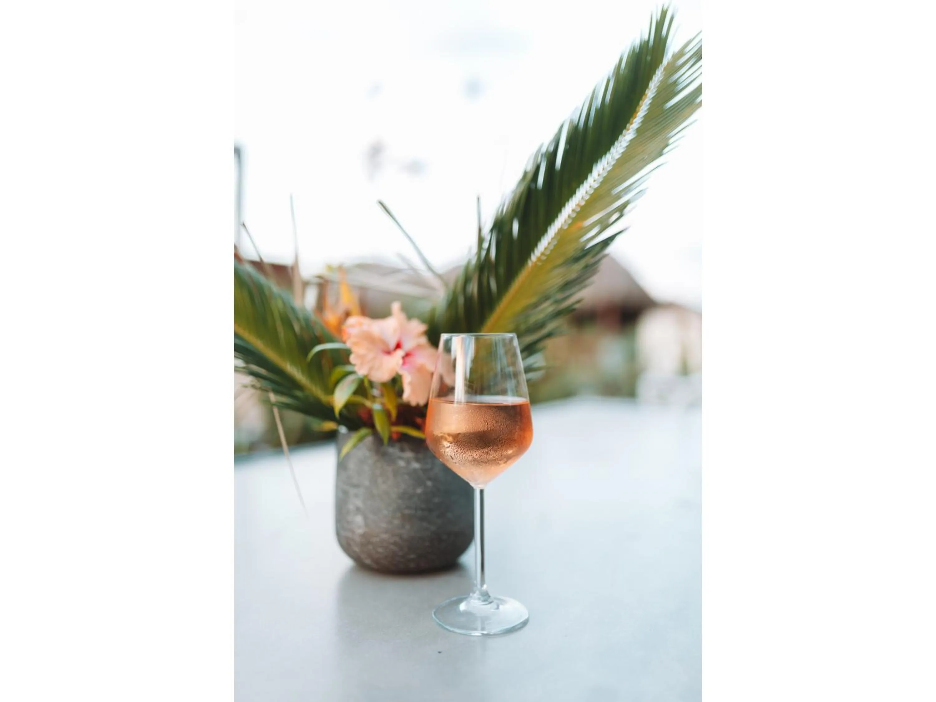 Restaurant/places to eat in Catalina's Hideaway