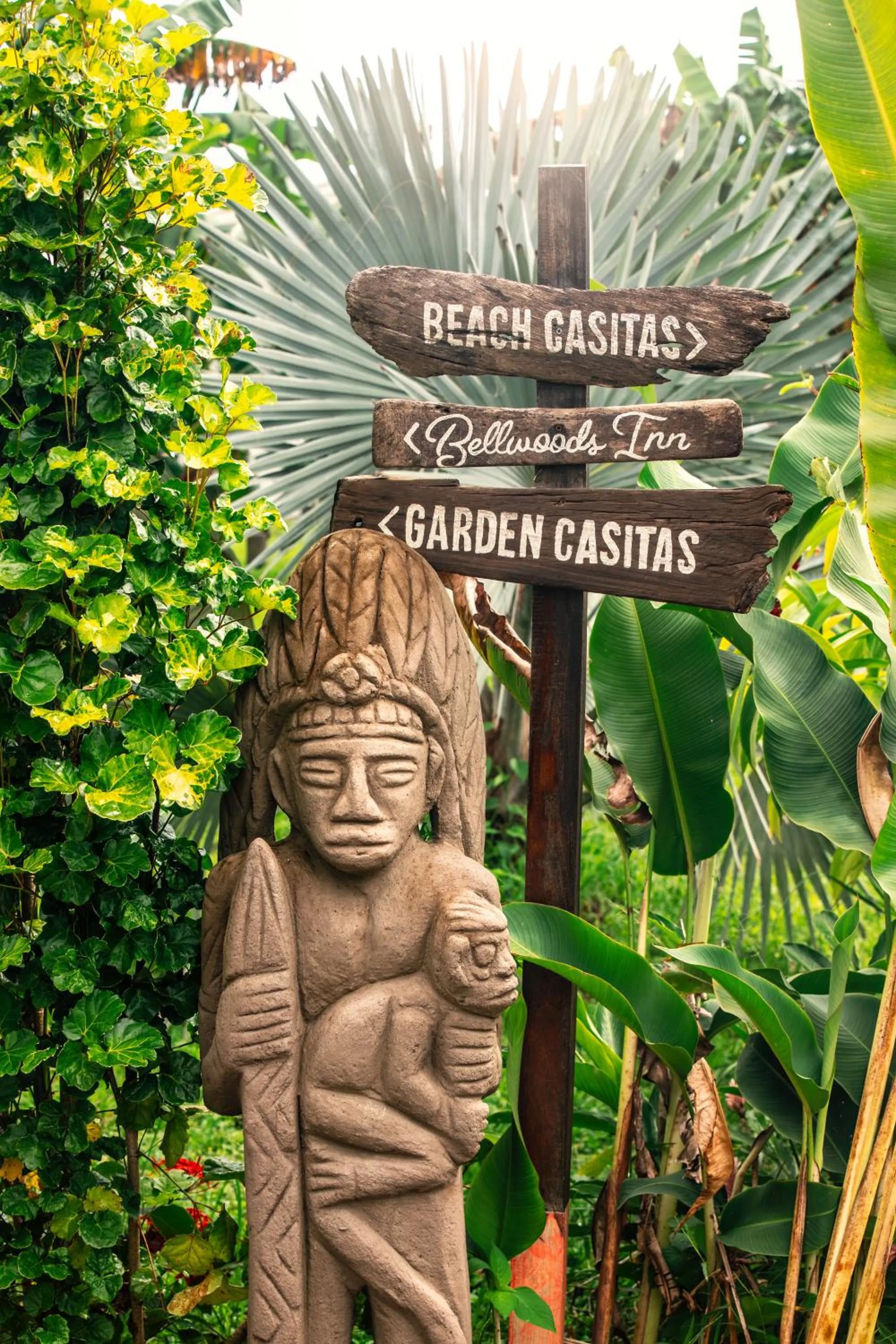 Day in Catalina's Hideaway