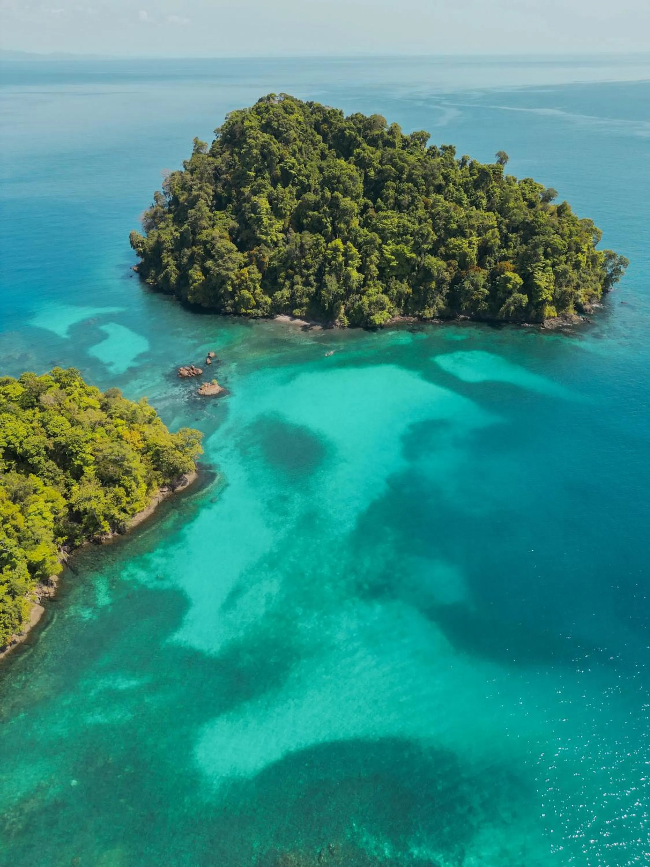 Snorkeling in Catalina's Hideaway