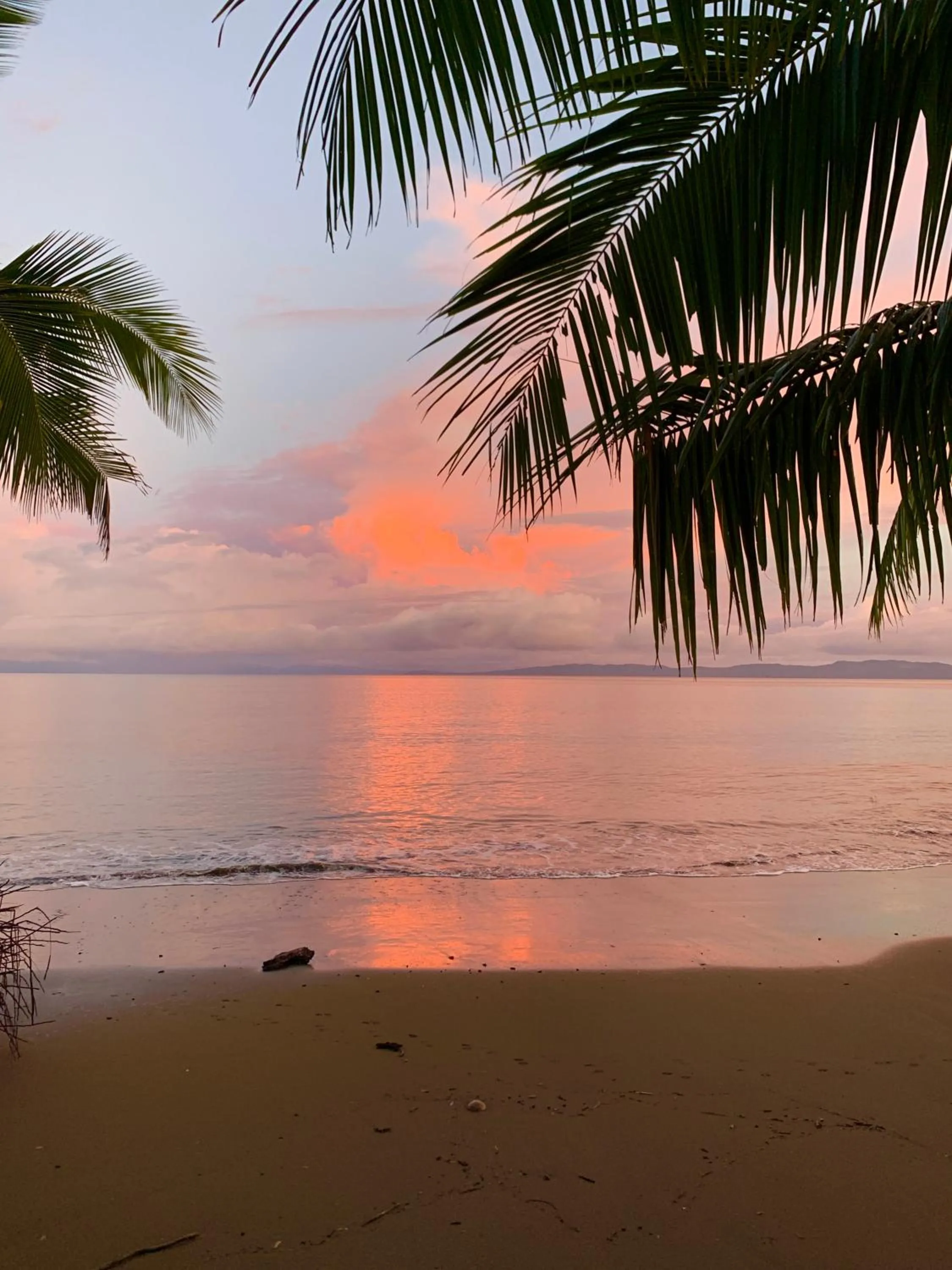 Natural landscape in Catalina's Hideaway