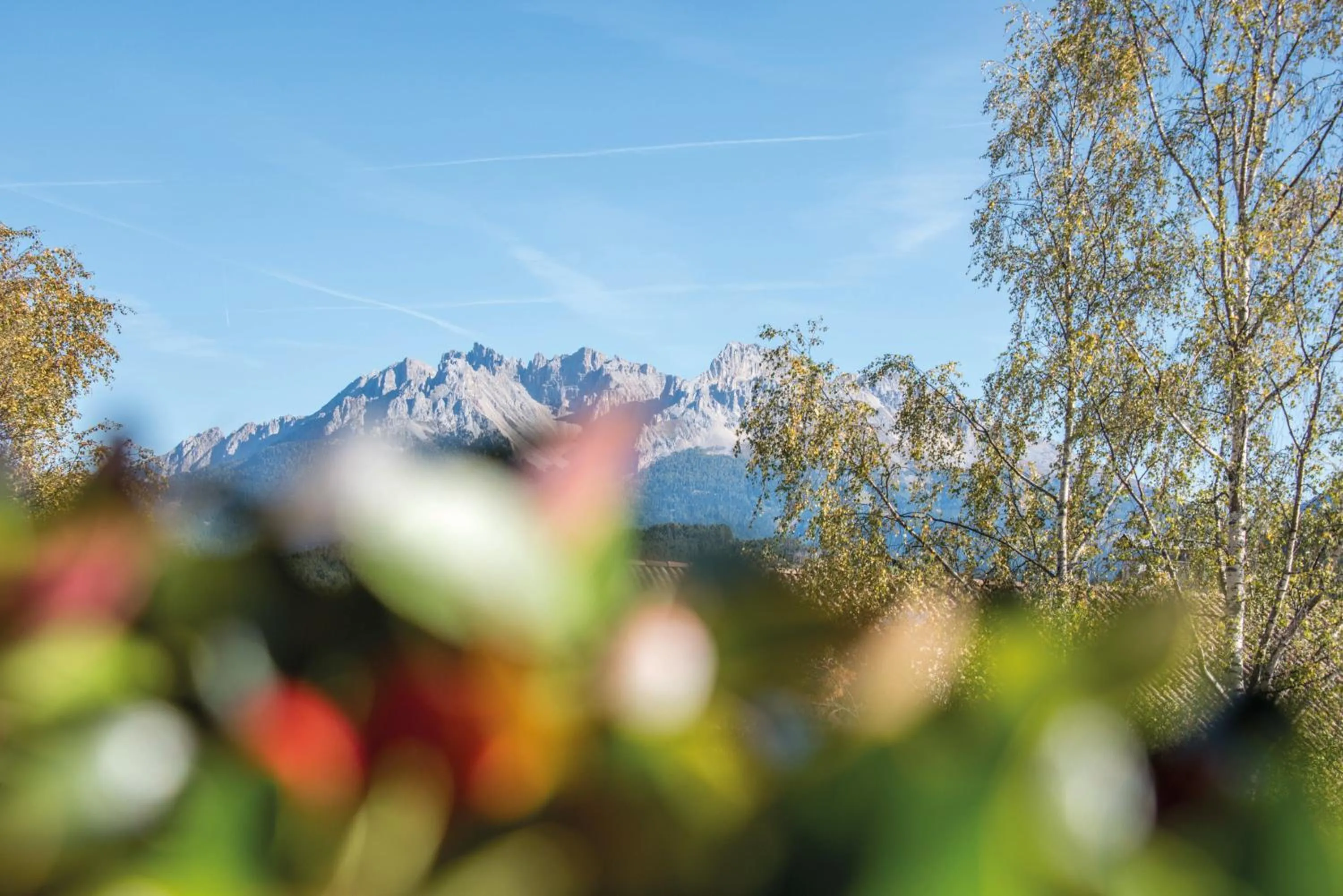 Apparthotel Feldhof - Living and Bistro