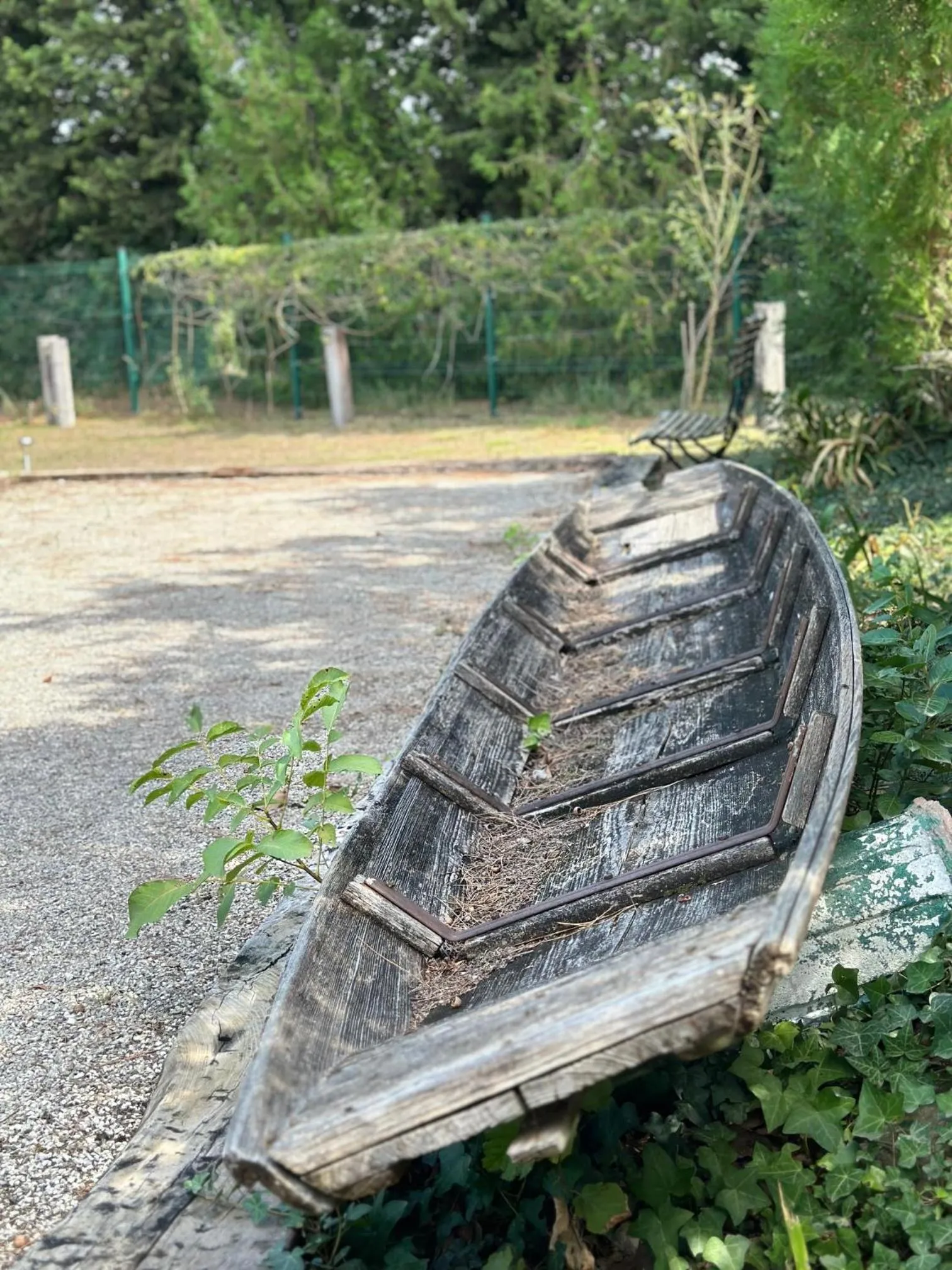 Garden in Mas la Provence