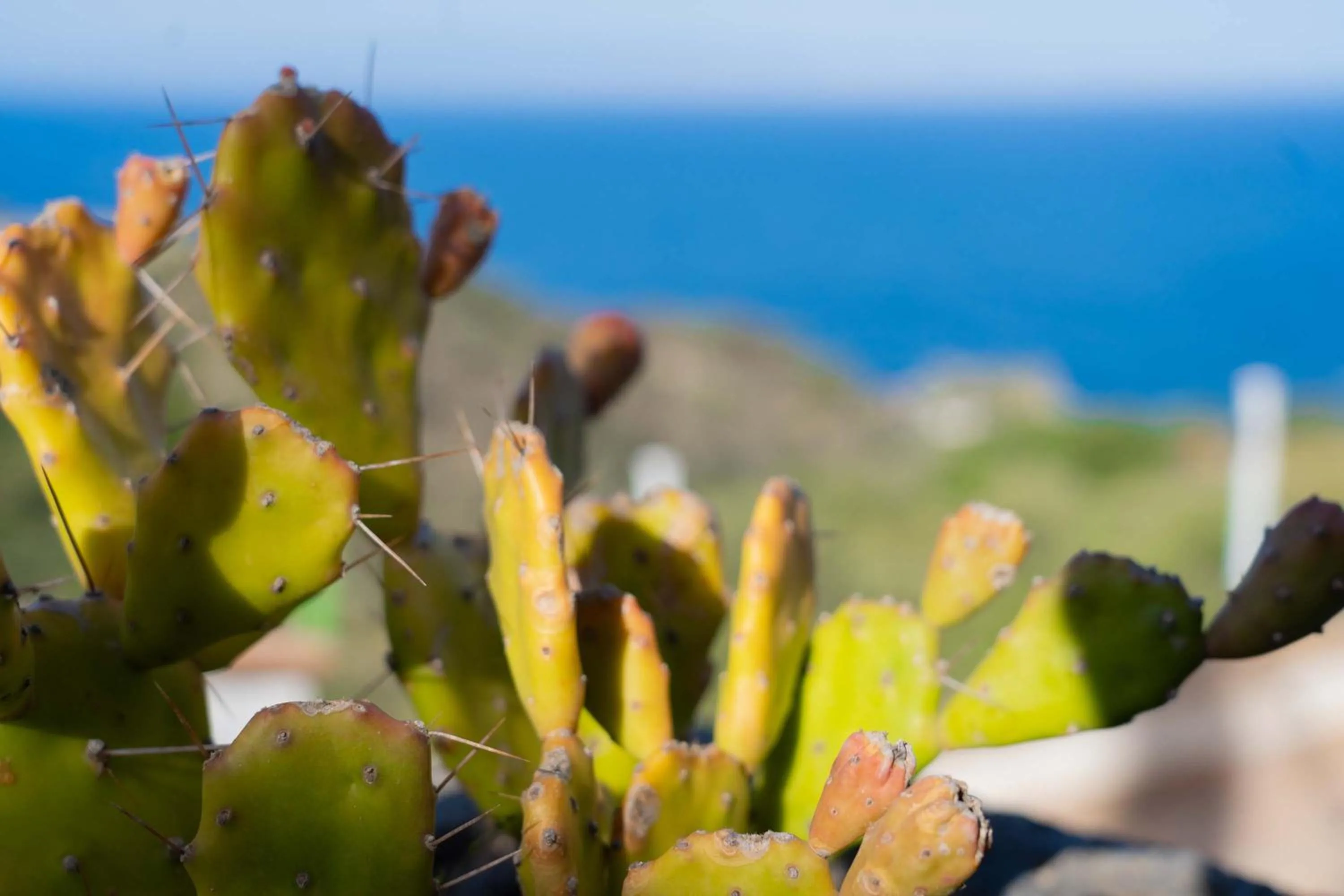 View (from property/room) in Villa Zagara Garden Spectacular Sea View in Taormina