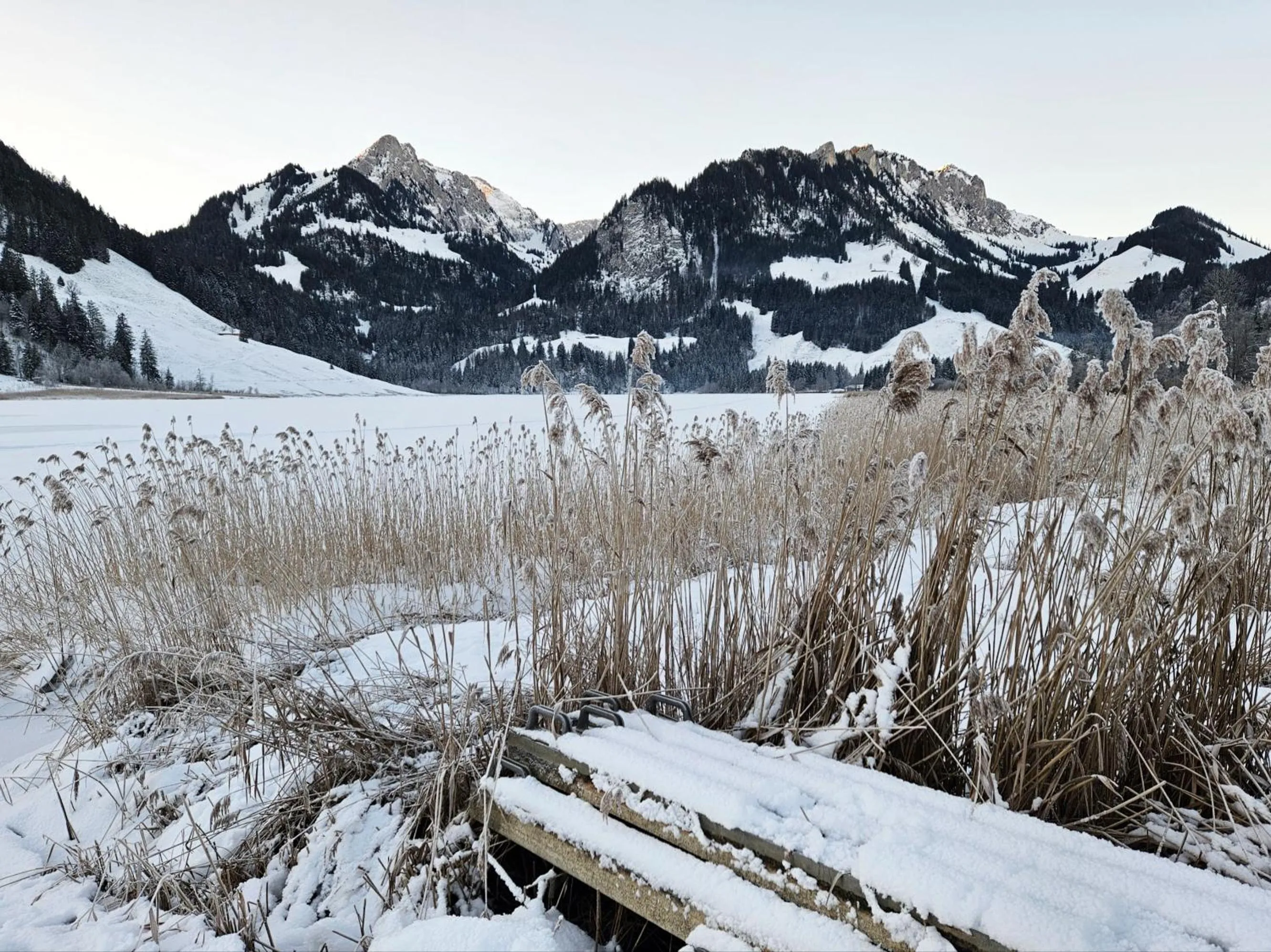 On site in Pension fein & sein