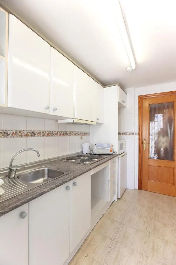 dishwasher in Apartamentos Poseidon Living