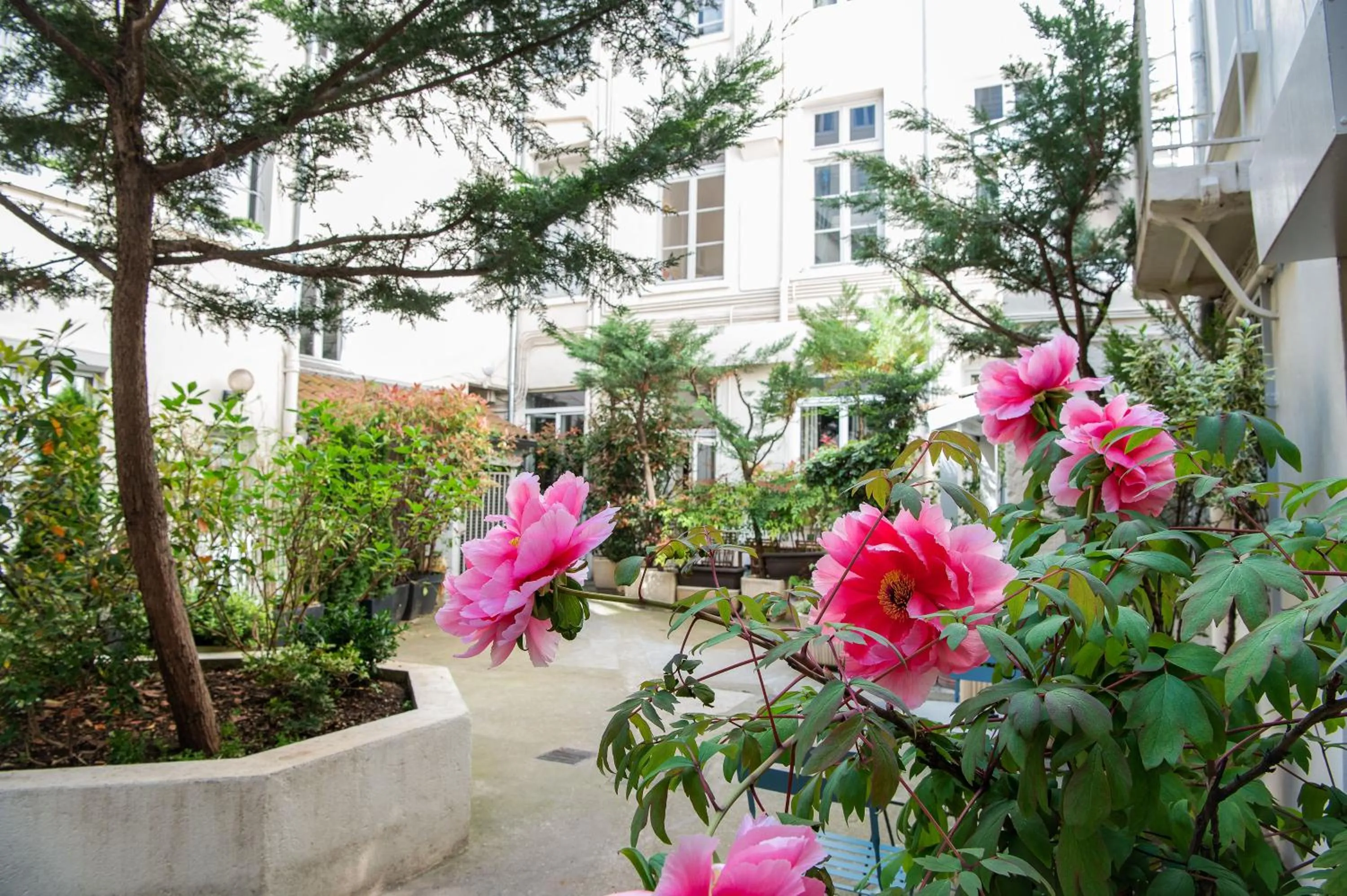 Inner courtyard view in MHL - Maison Hotel Lyon