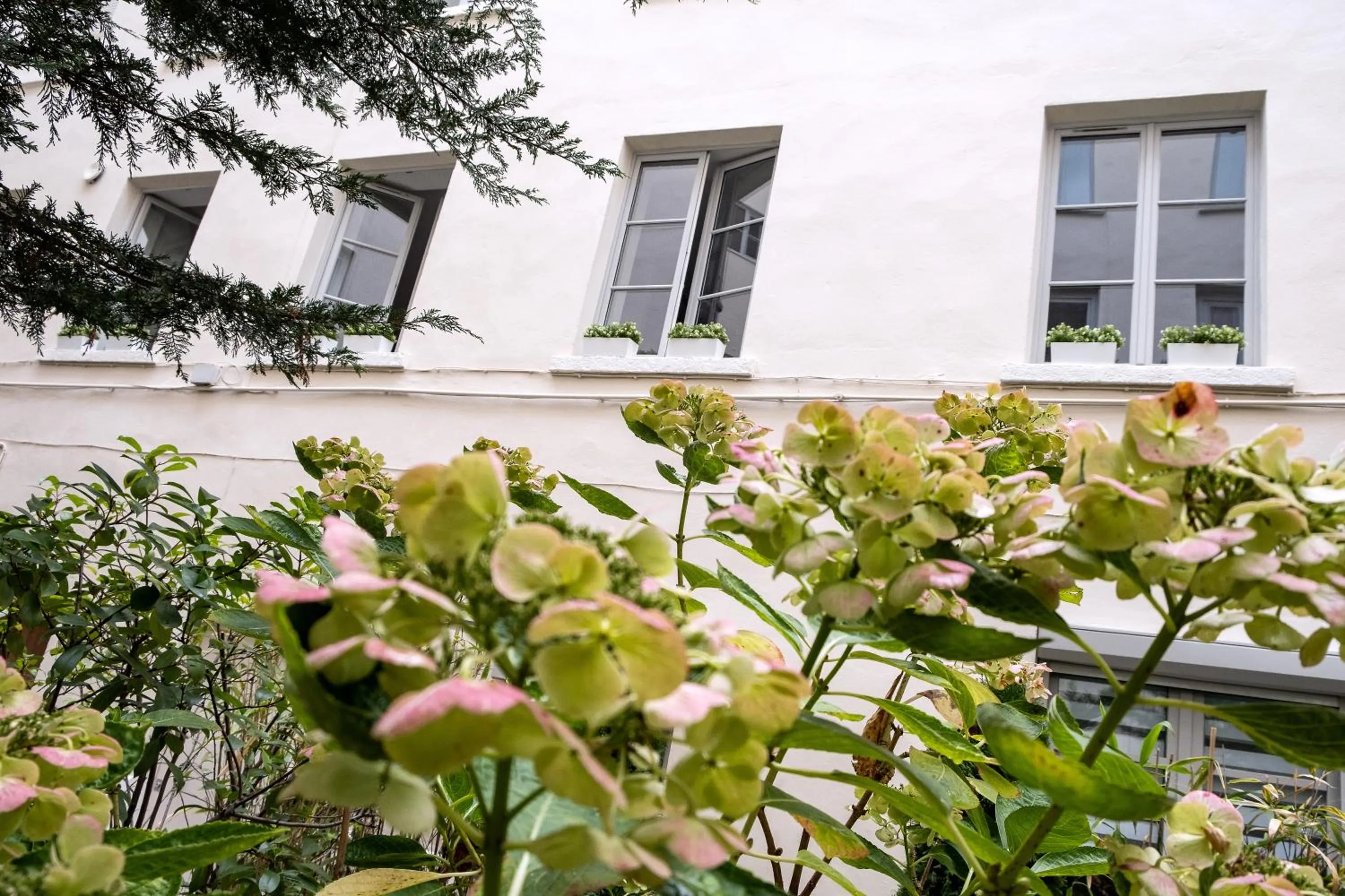 Property building in MHL - Maison Hotel Lyon