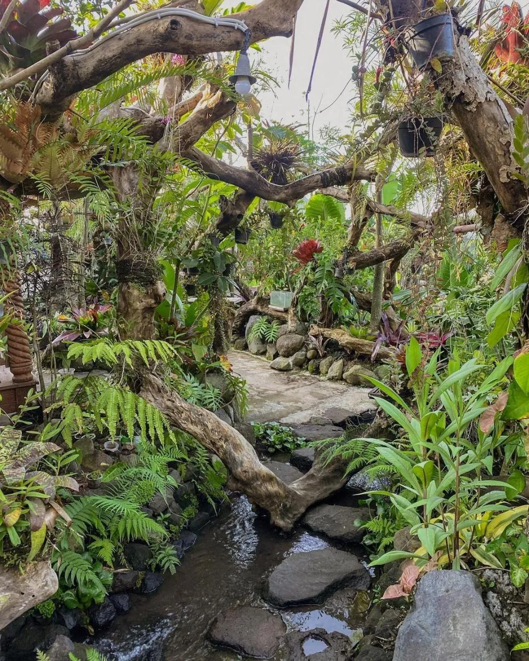 Natural landscape in Taman Dolan Home & Resort