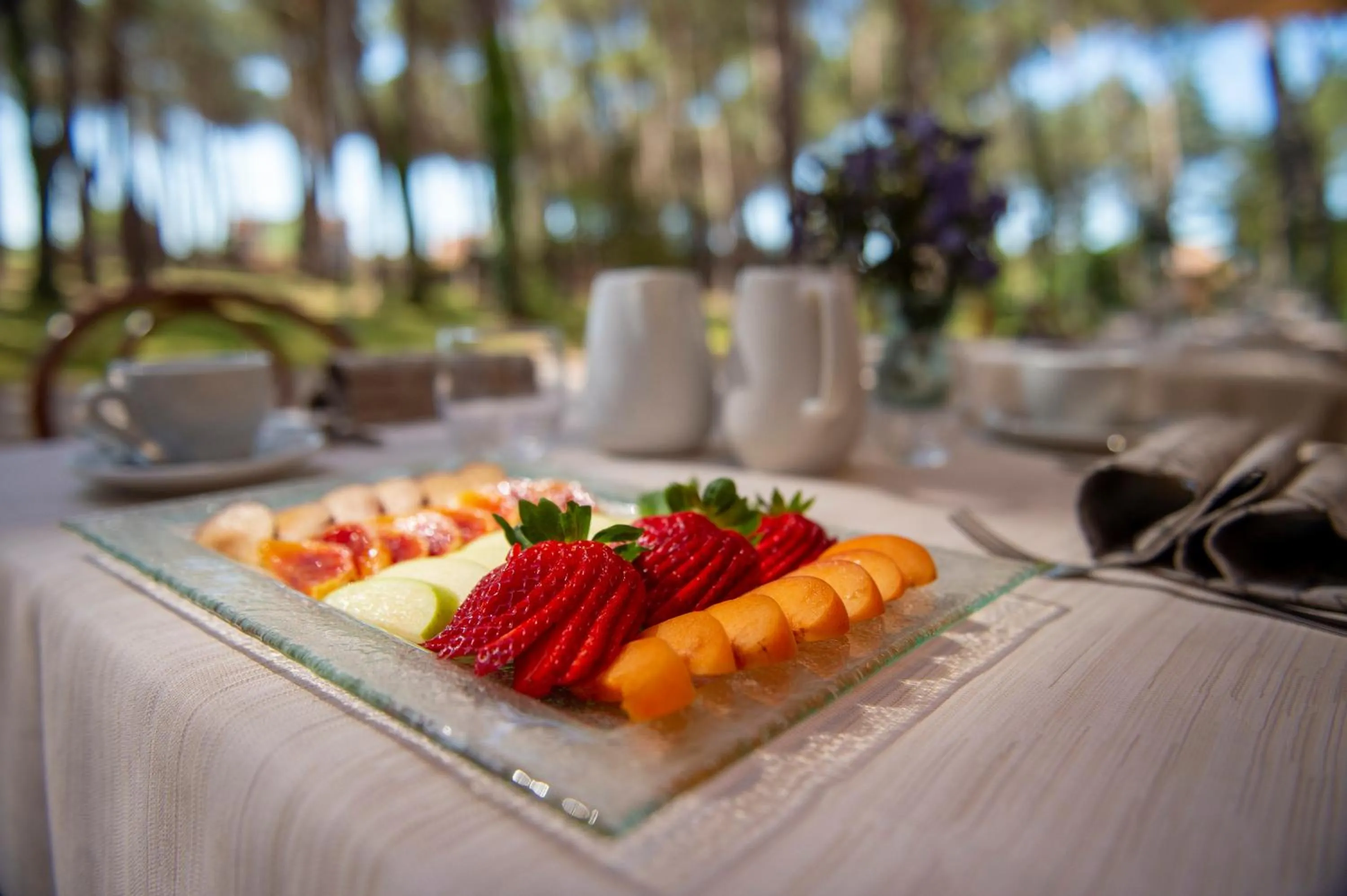 Food and drinks in Hotel Villa dei Pini