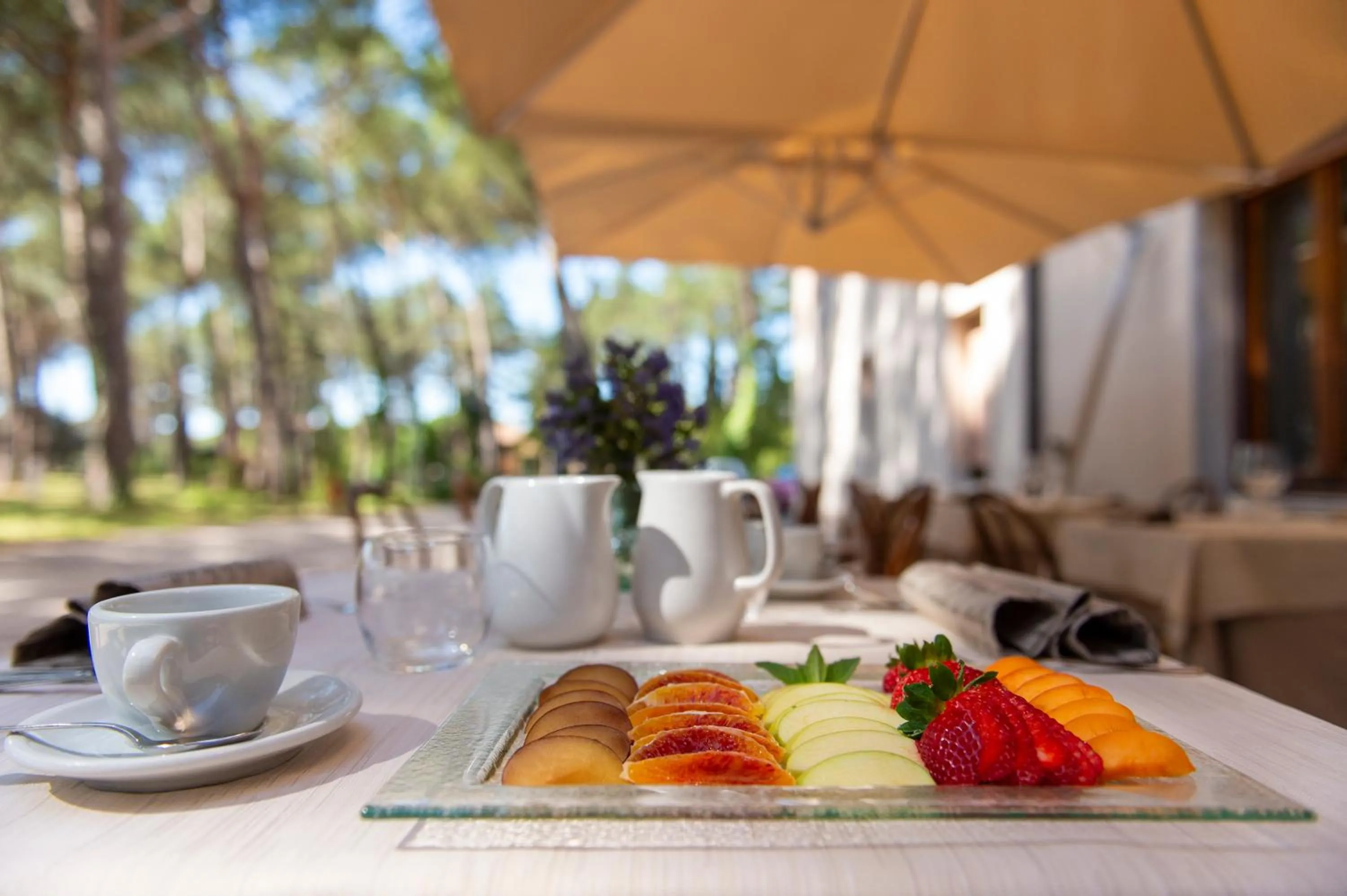 Restaurant/places to eat in Hotel Villa dei Pini