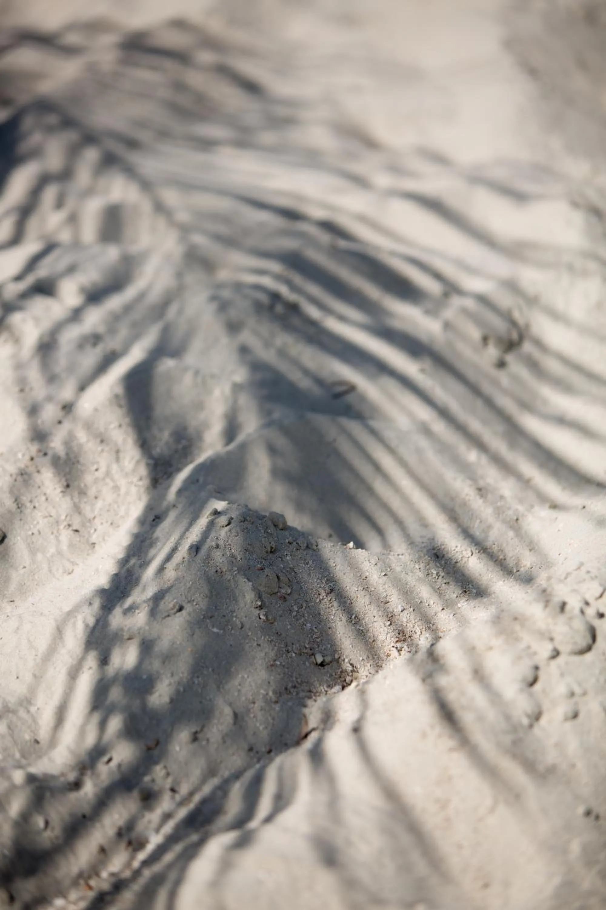 Natural landscape in Cielo Boutique Hotel & Spa Samui