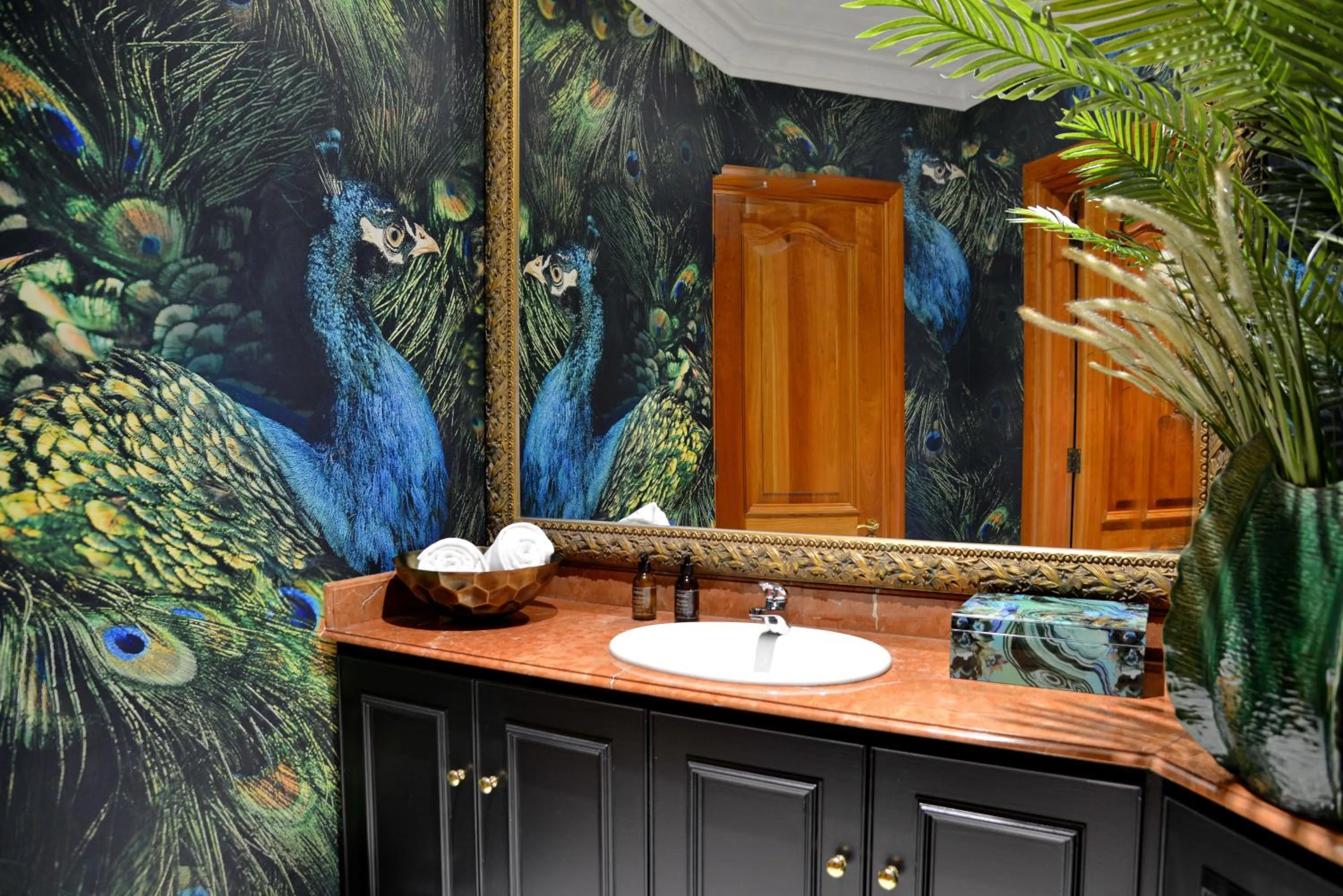 Area and facilities in Apogee Boutique Hotel & Spa