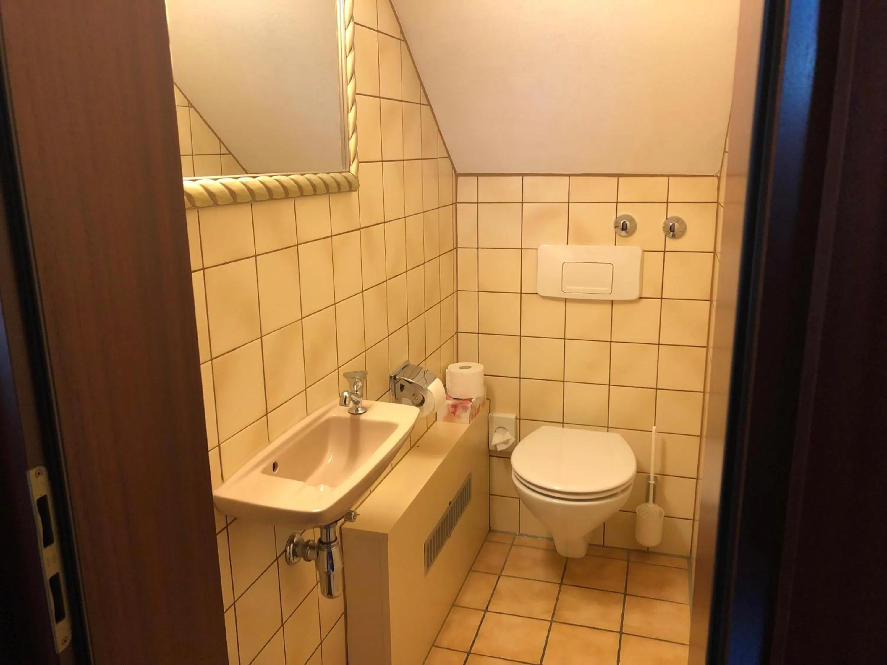 Toilet in Hotel-Restaurant und Gästehaus Löwen