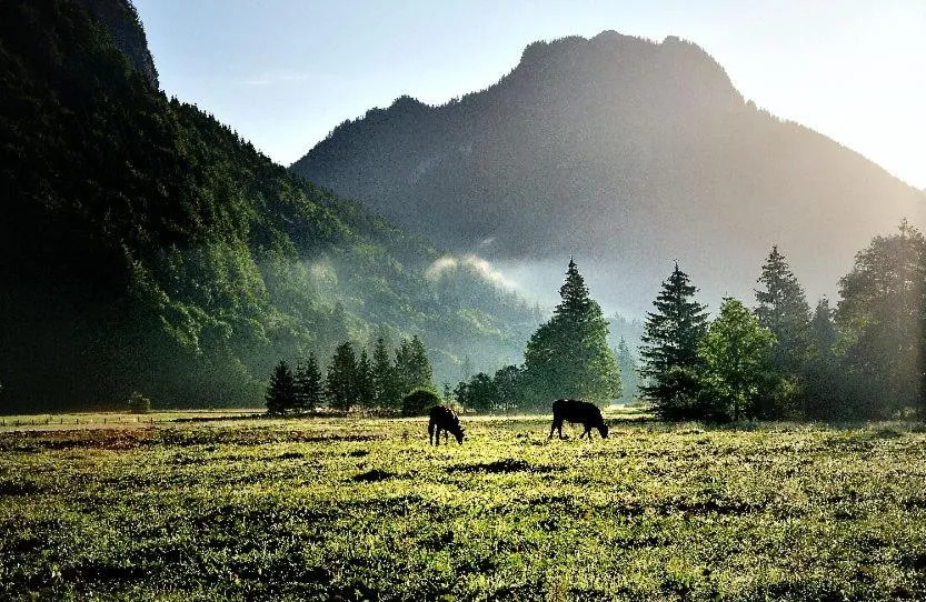 Natural landscape in Landhotel Böld Oberammergau