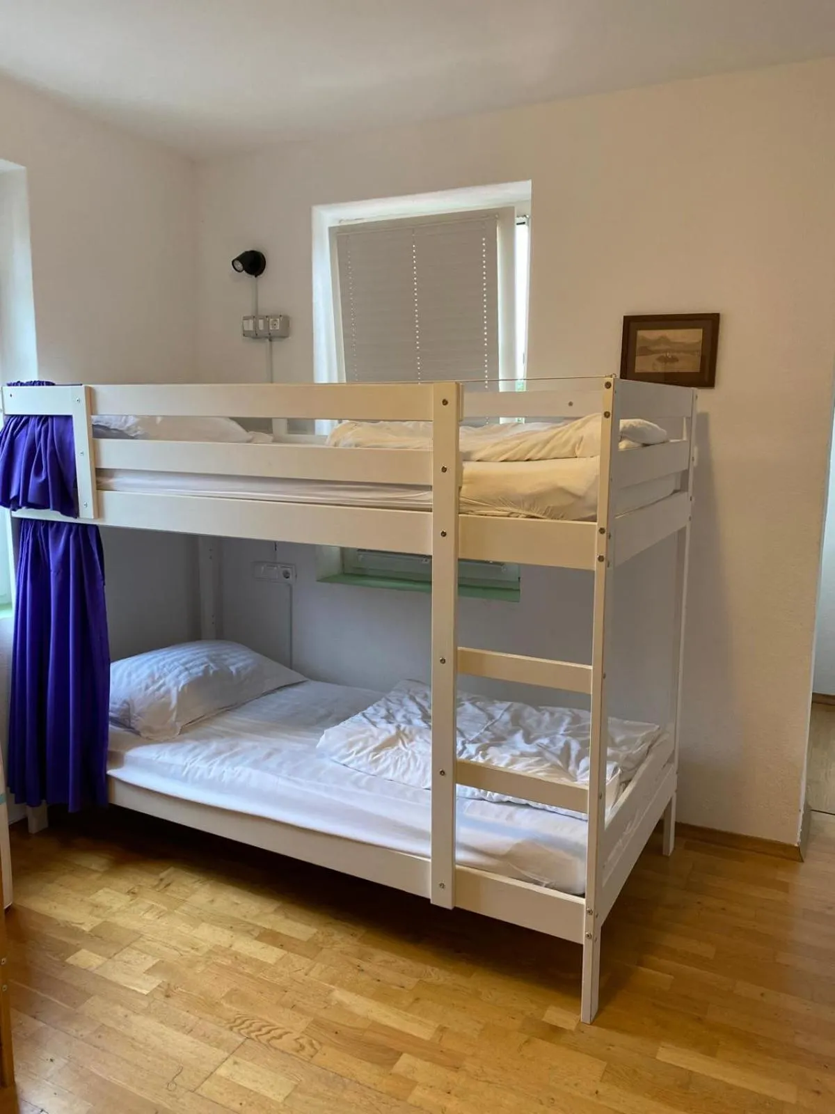 Bed in Travellers' Haven Hostel
