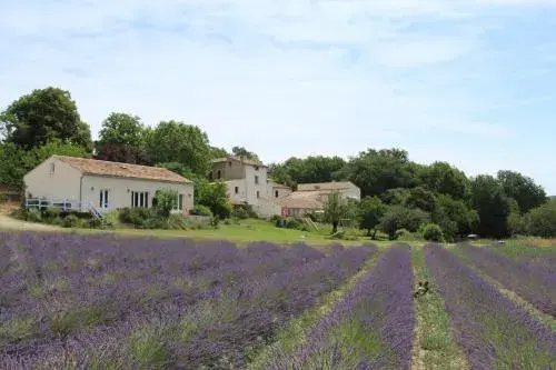 Les Ânes de Forcalquier Les Ânes de Forcalquier