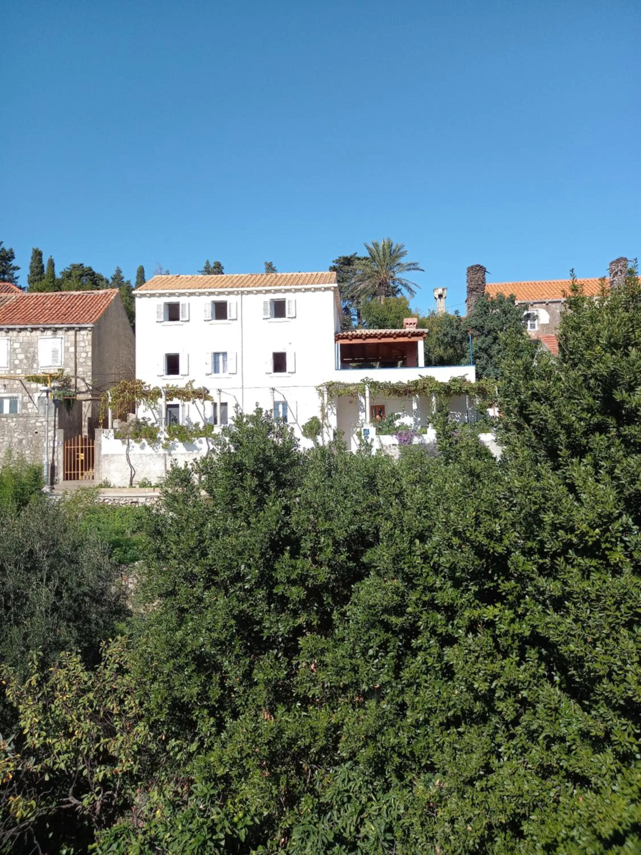 Villa Sea Dream Koločep