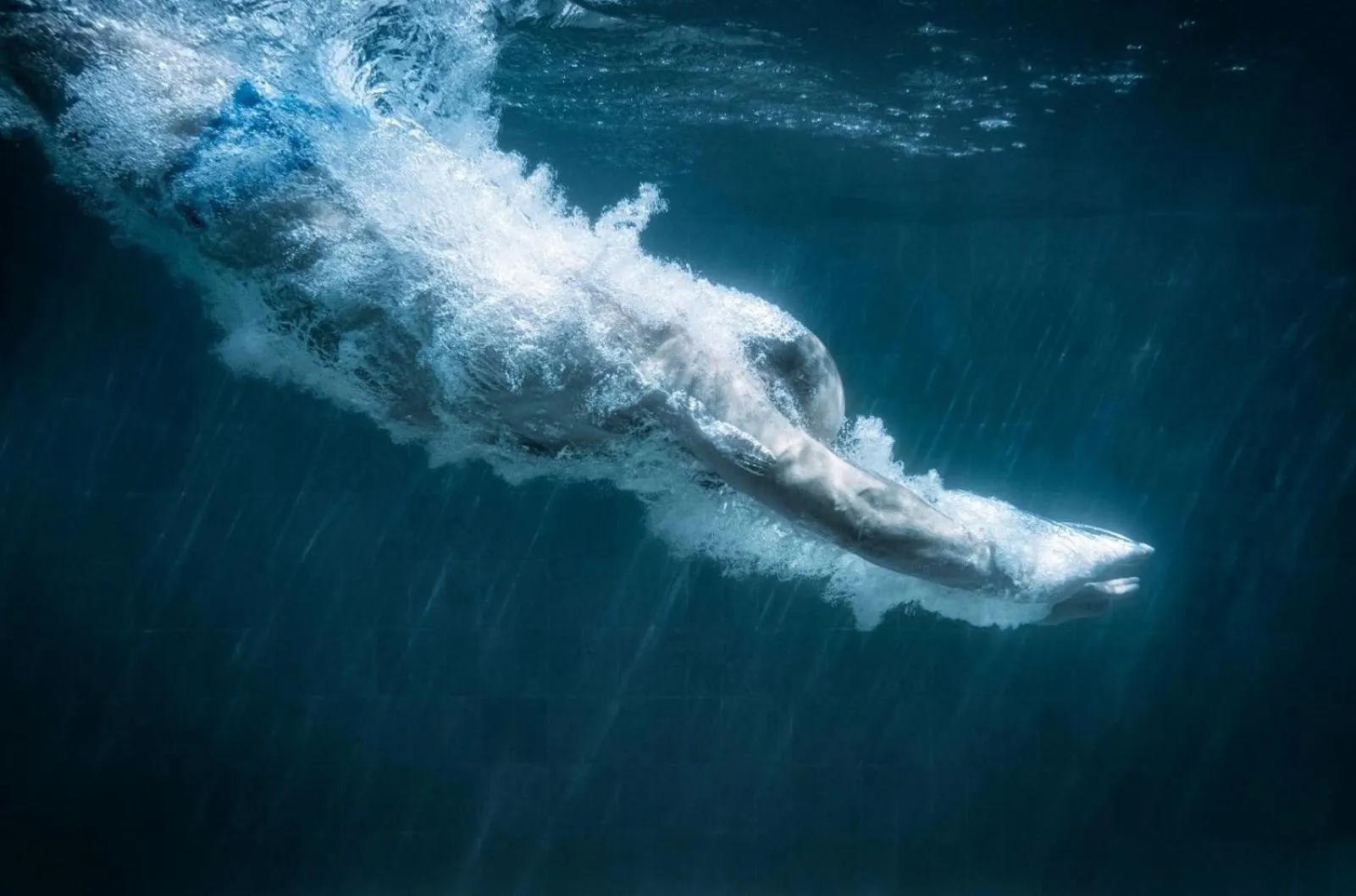 Beach in The Blue Hotel Bondi