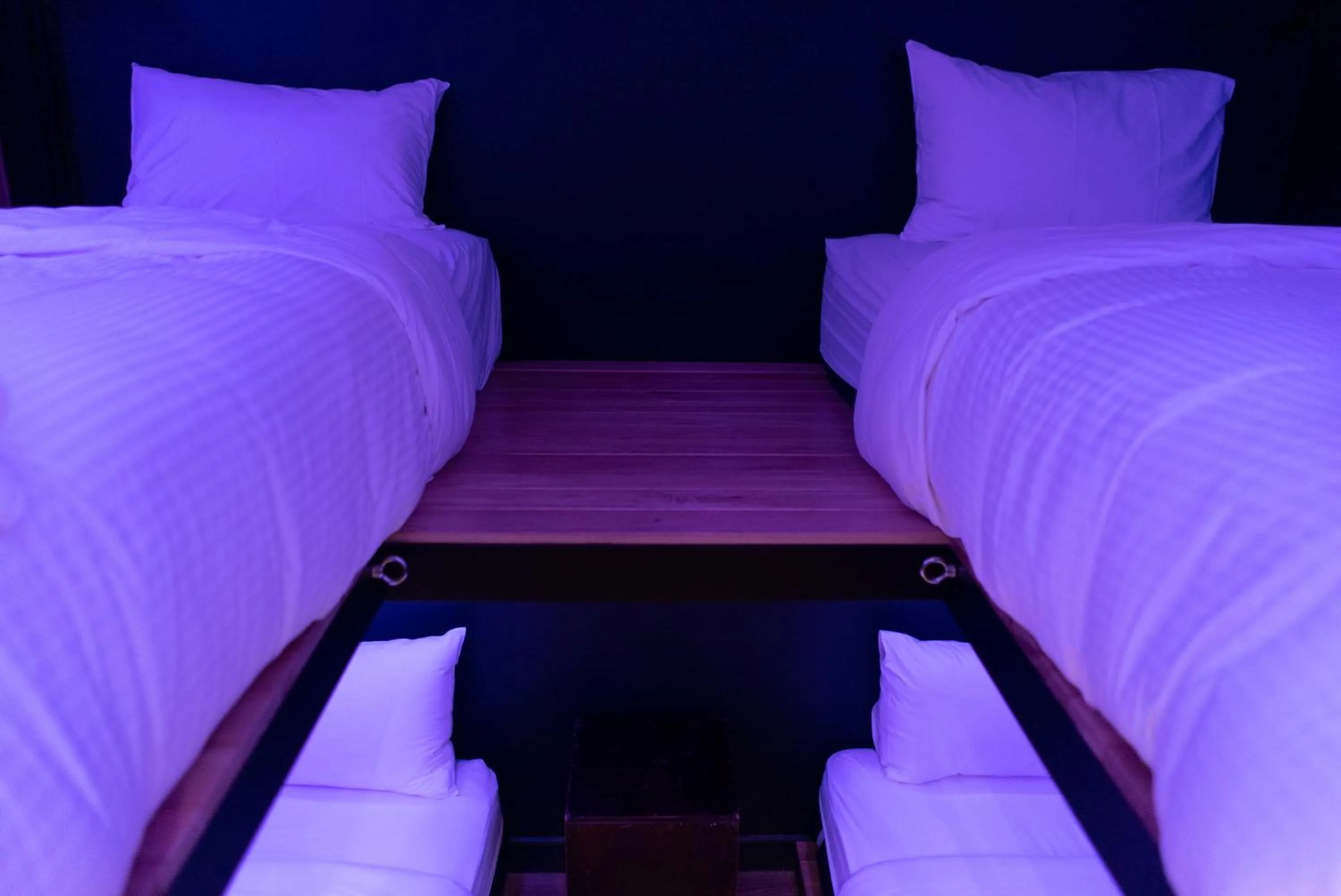 bunk bed, Bed in The Blue Hotel Bondi