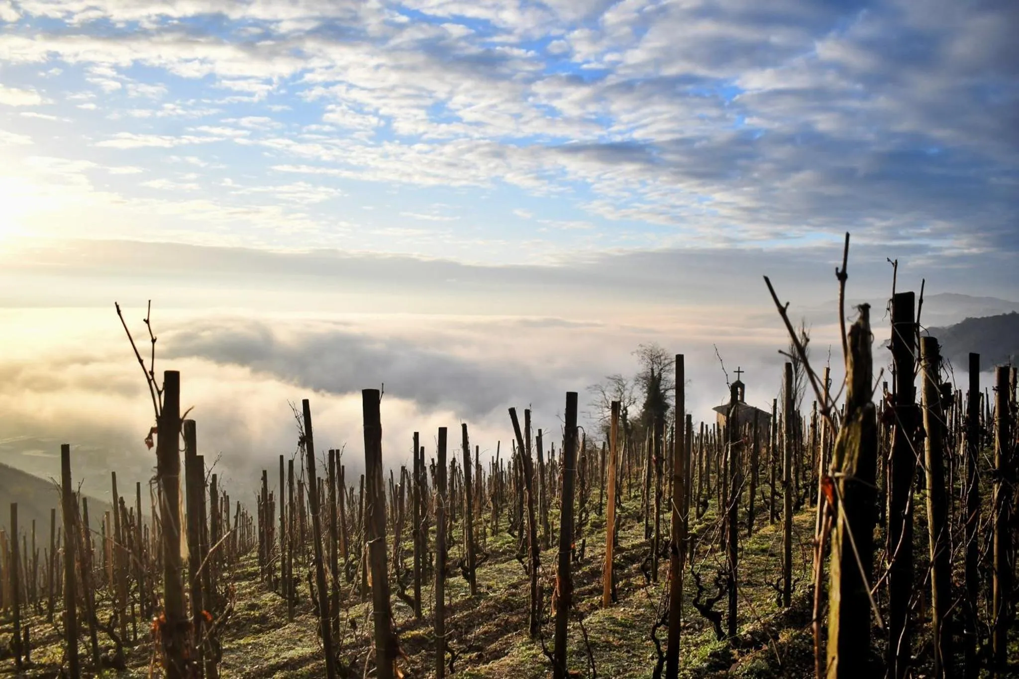 Chambres au grand calme dans maison