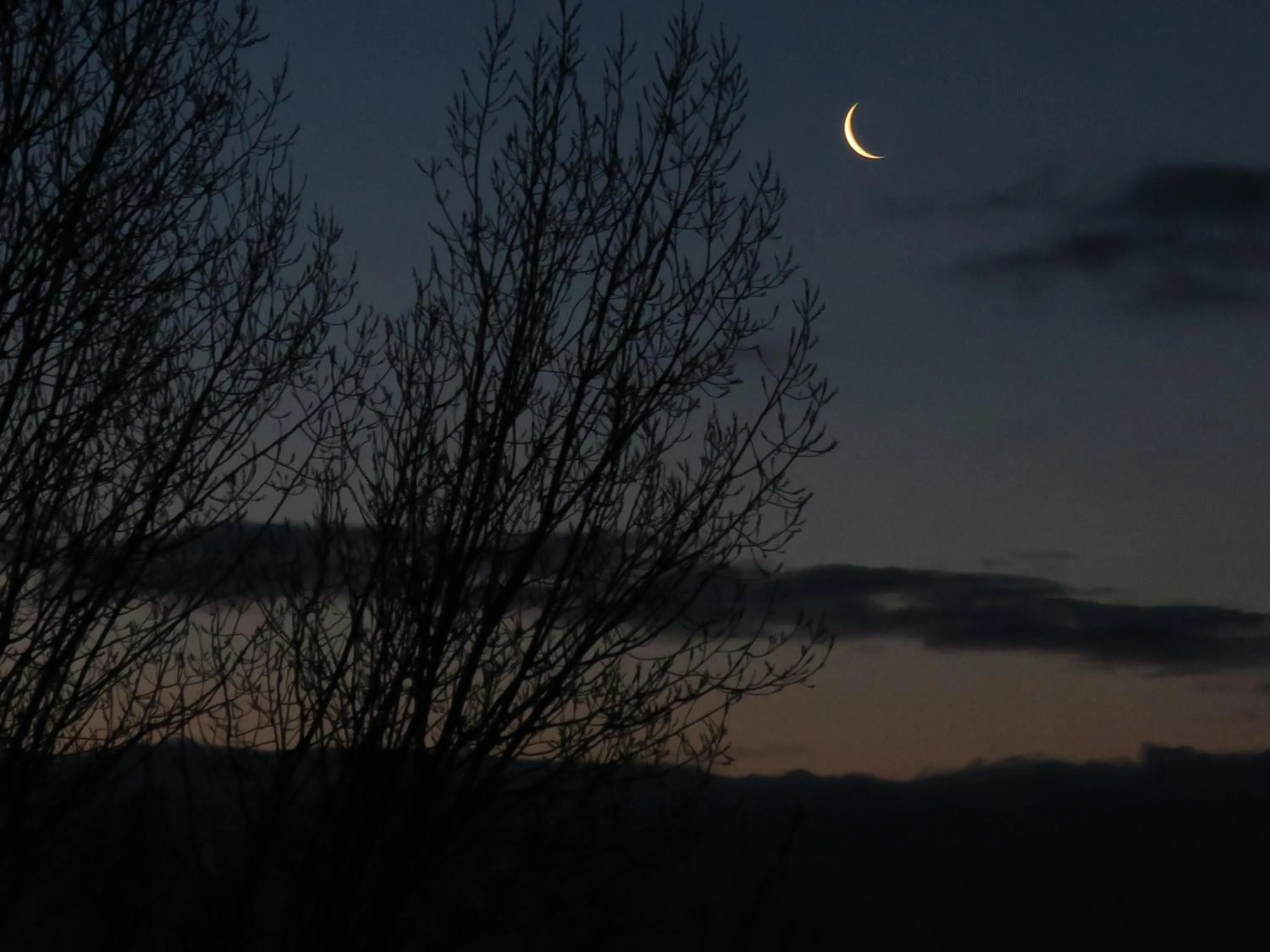 Night in Chambres au grand calme dans maison