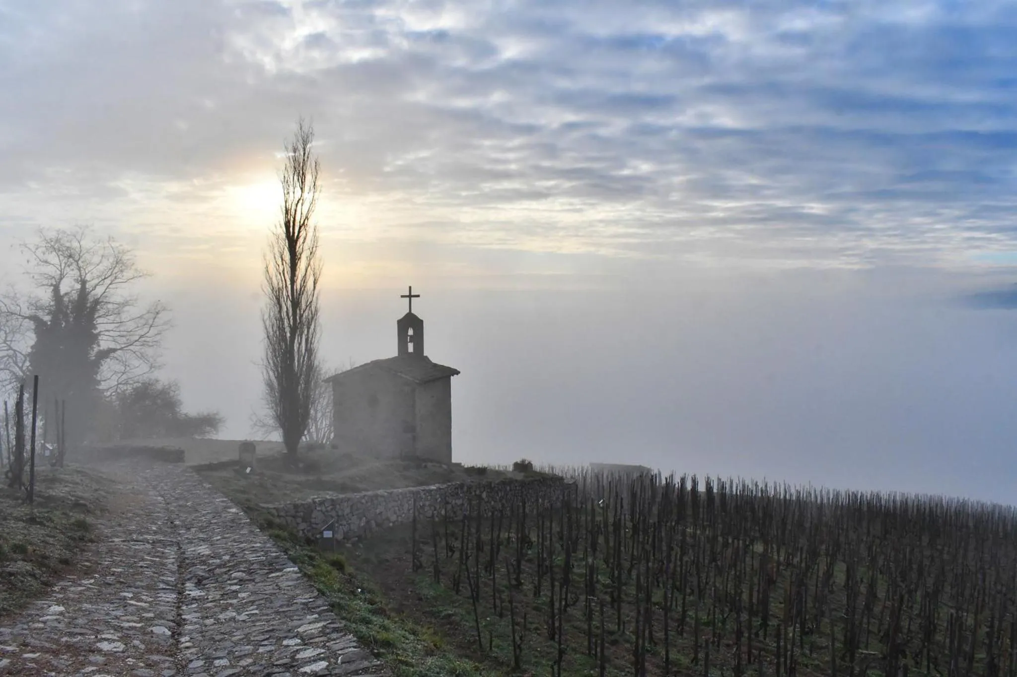 Chambres au grand calme dans maison