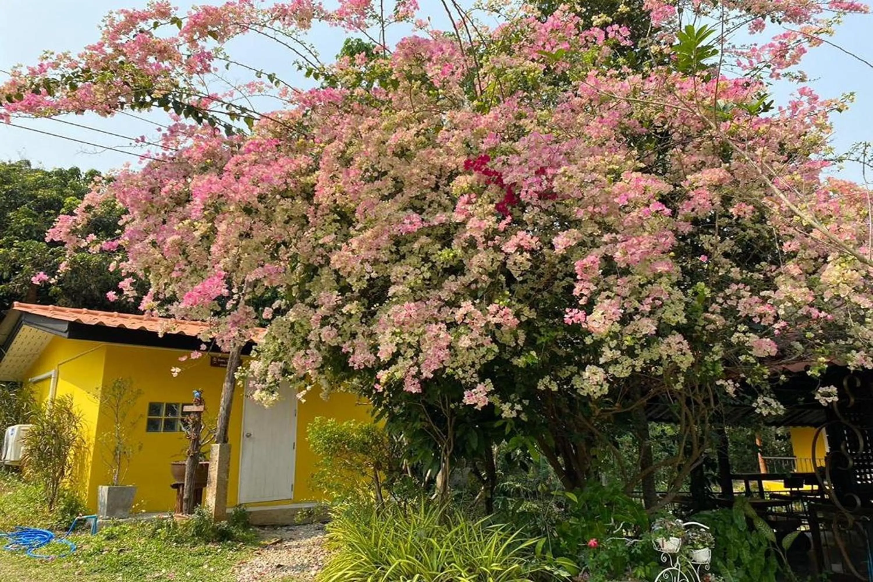 Property building in Nokkamin Home Chiang Dao