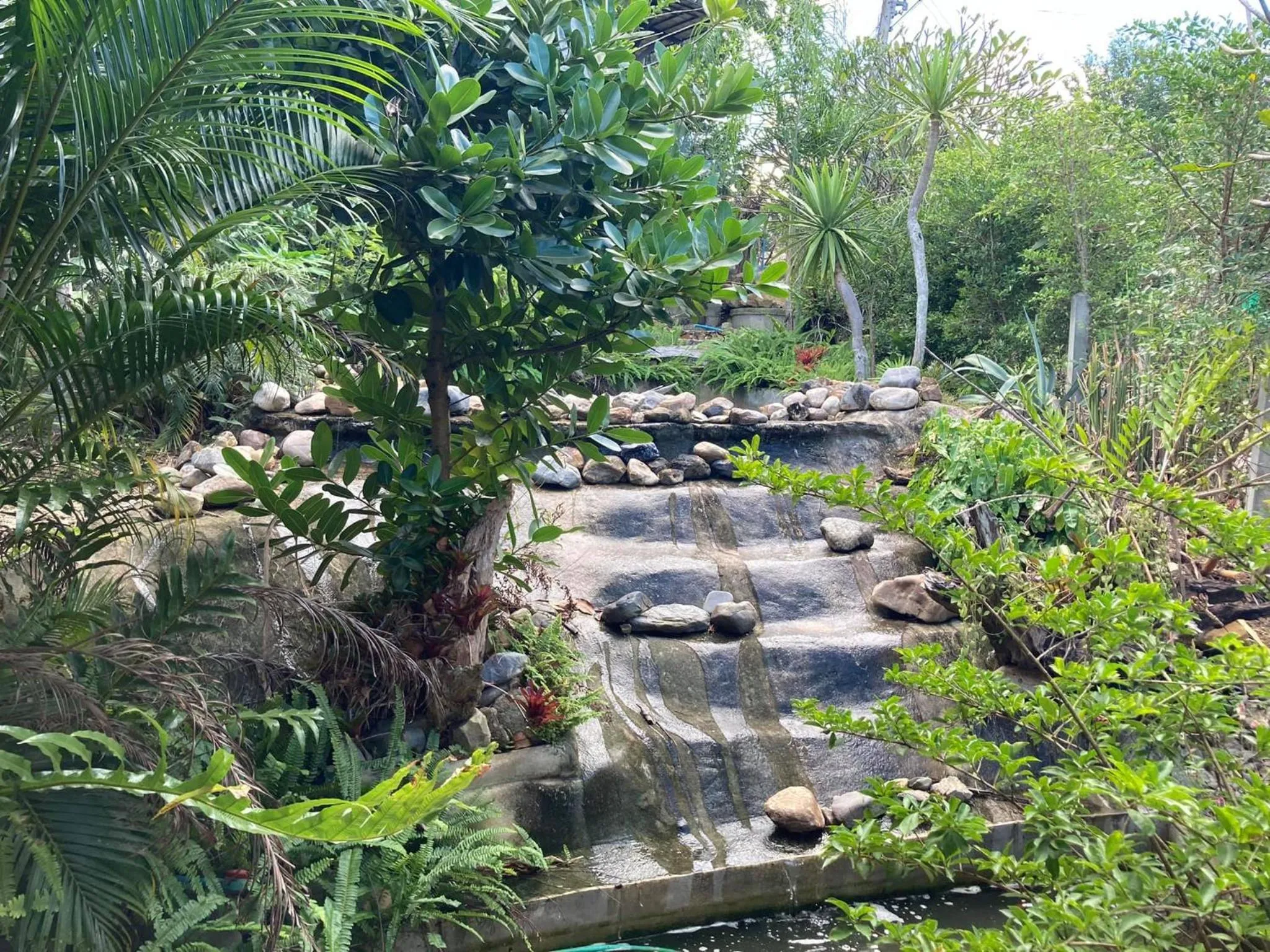 Natural landscape in Nokkamin Home Chiang Dao