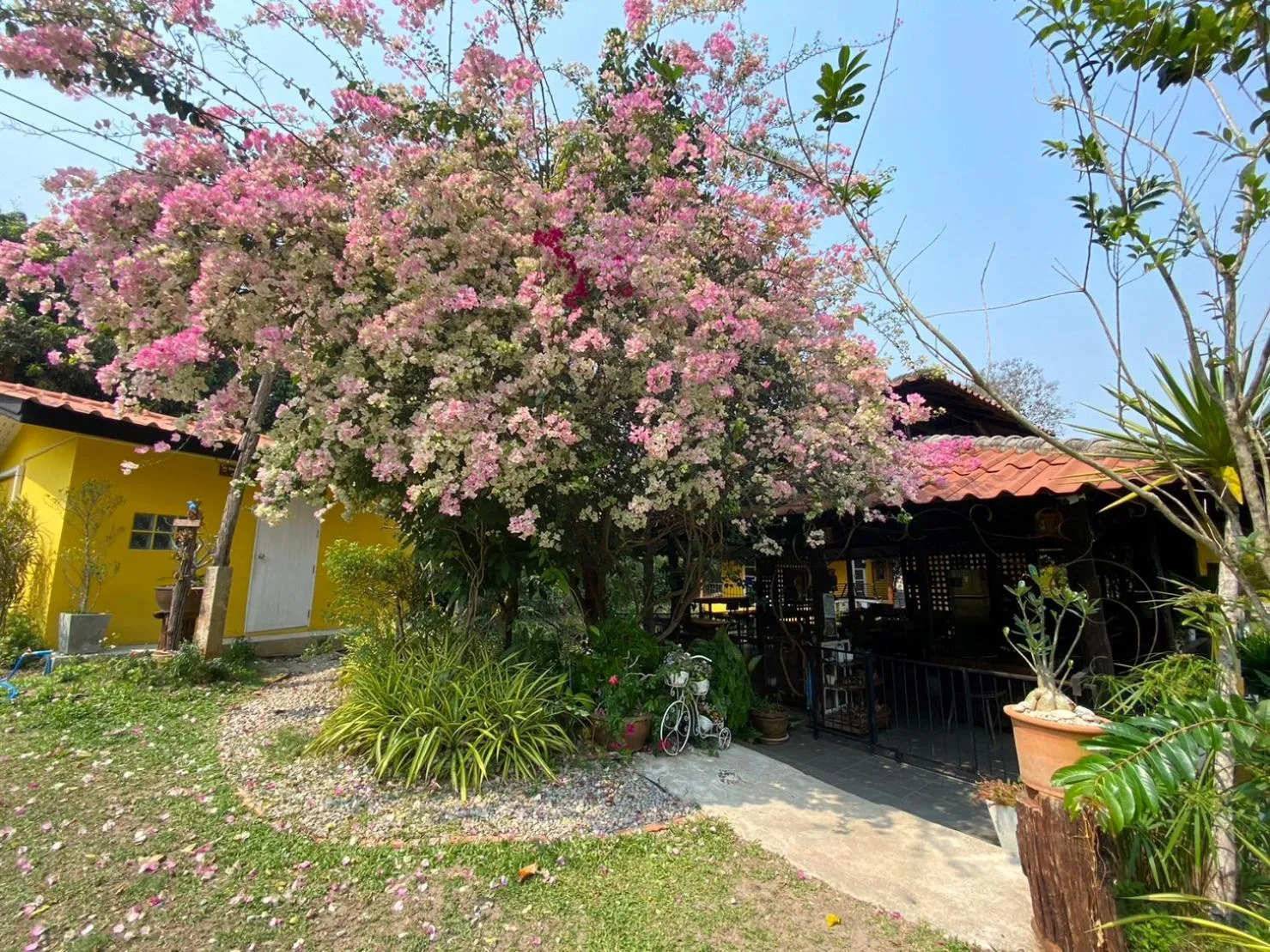 Property building in Nokkamin Home Chiang Dao