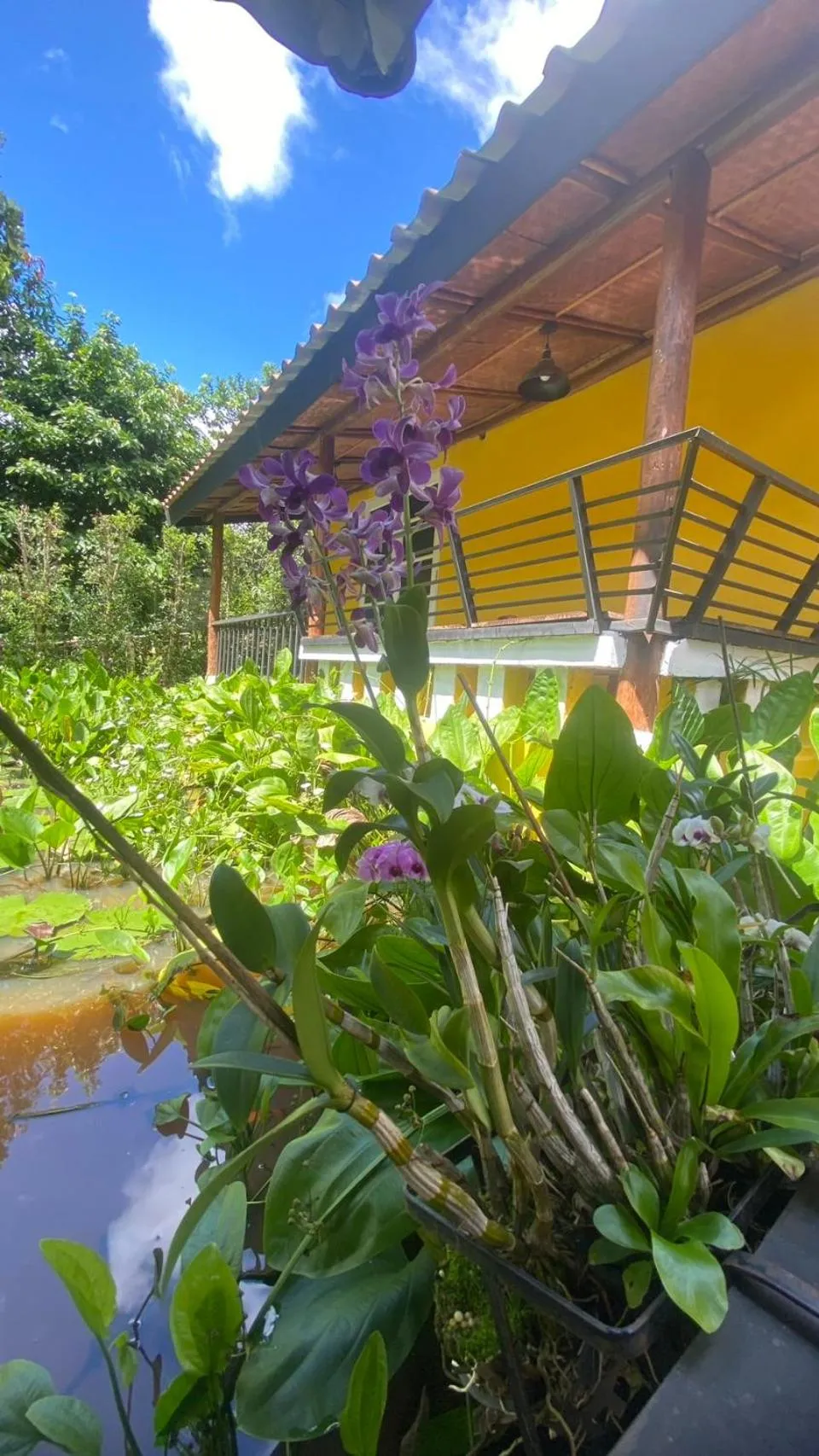 Lake view in Nokkamin Home Chiang Dao