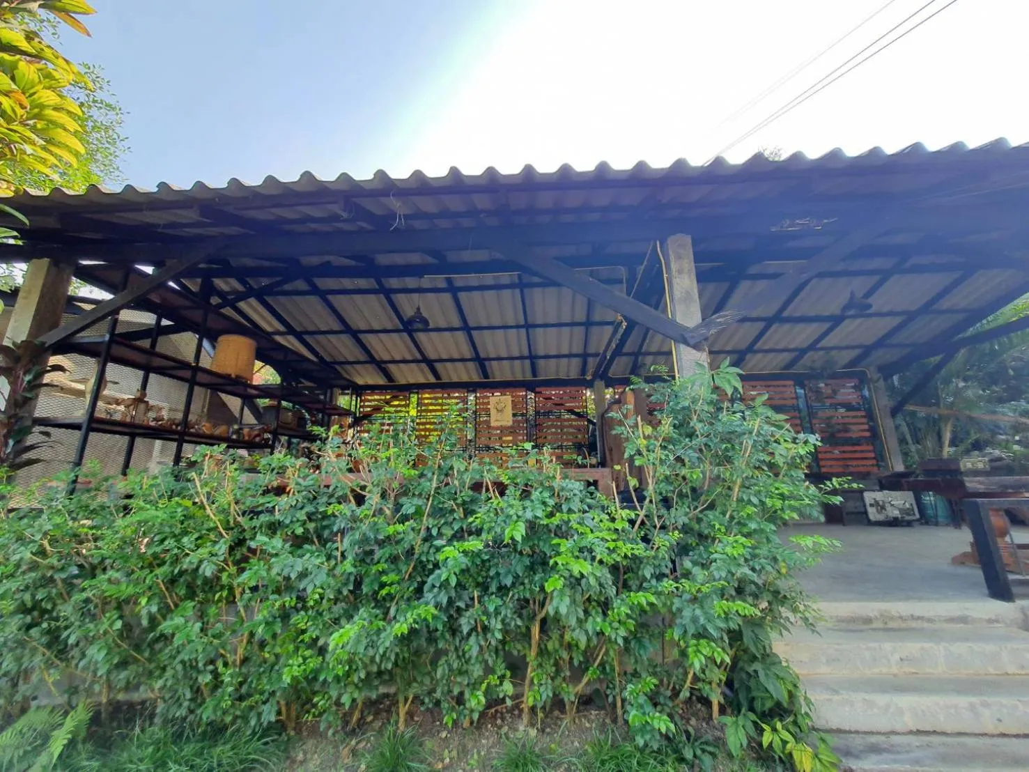 Restaurant/places to eat in Nokkamin Home Chiang Dao