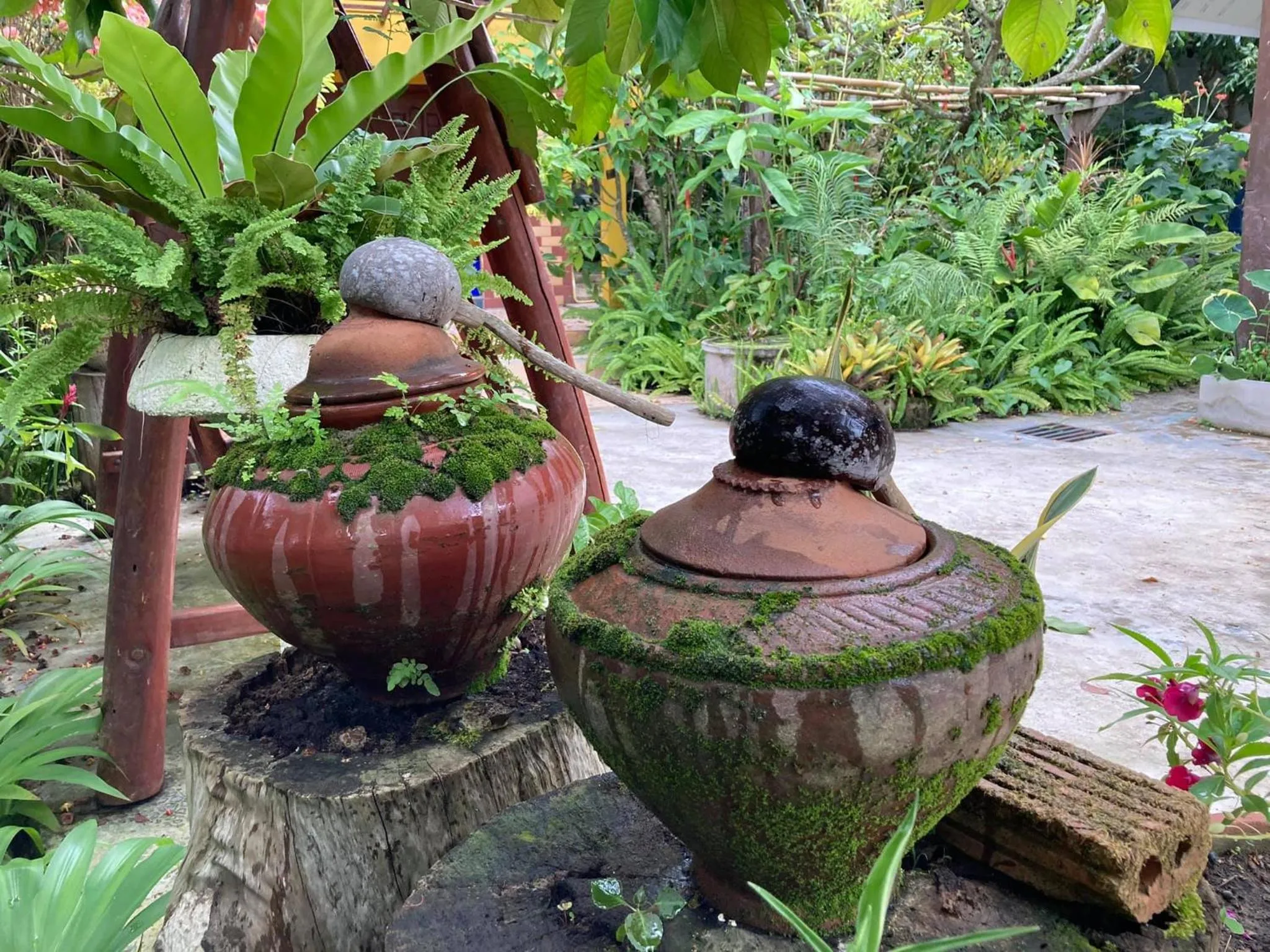 Spring in Nokkamin Home Chiang Dao