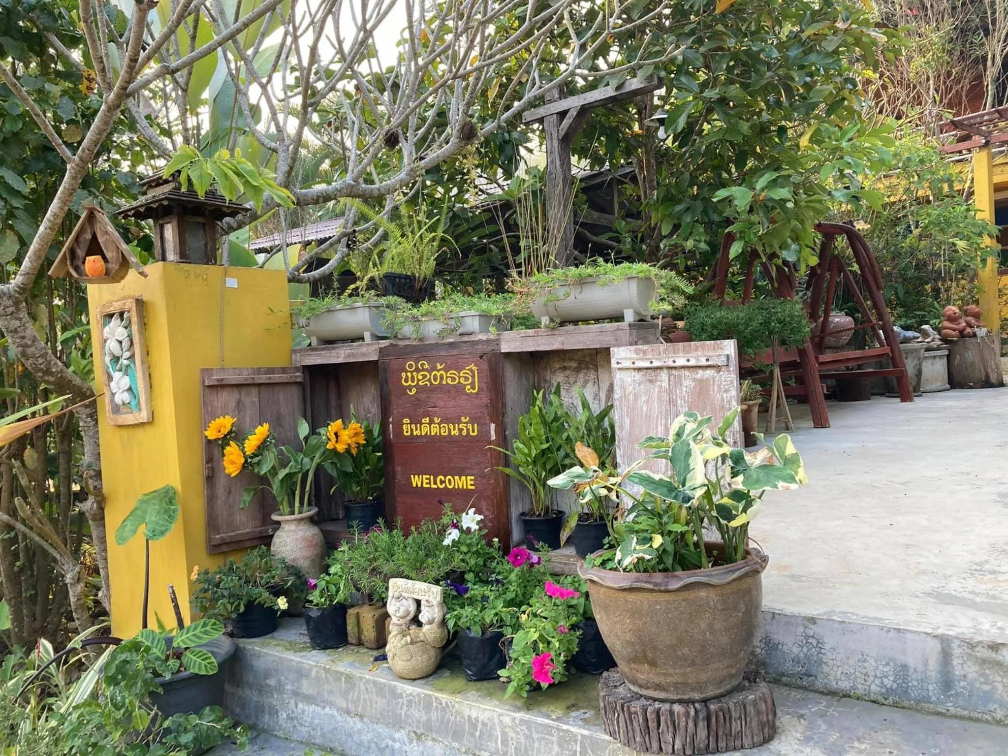 Garden in Nokkamin Home Chiang Dao