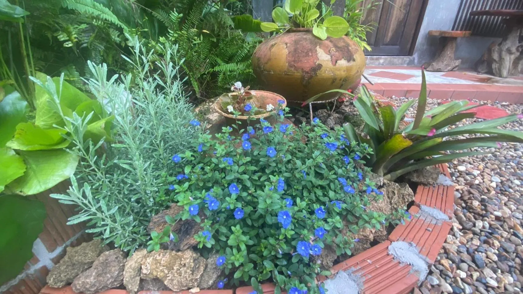 Garden in Nokkamin Home Chiang Dao