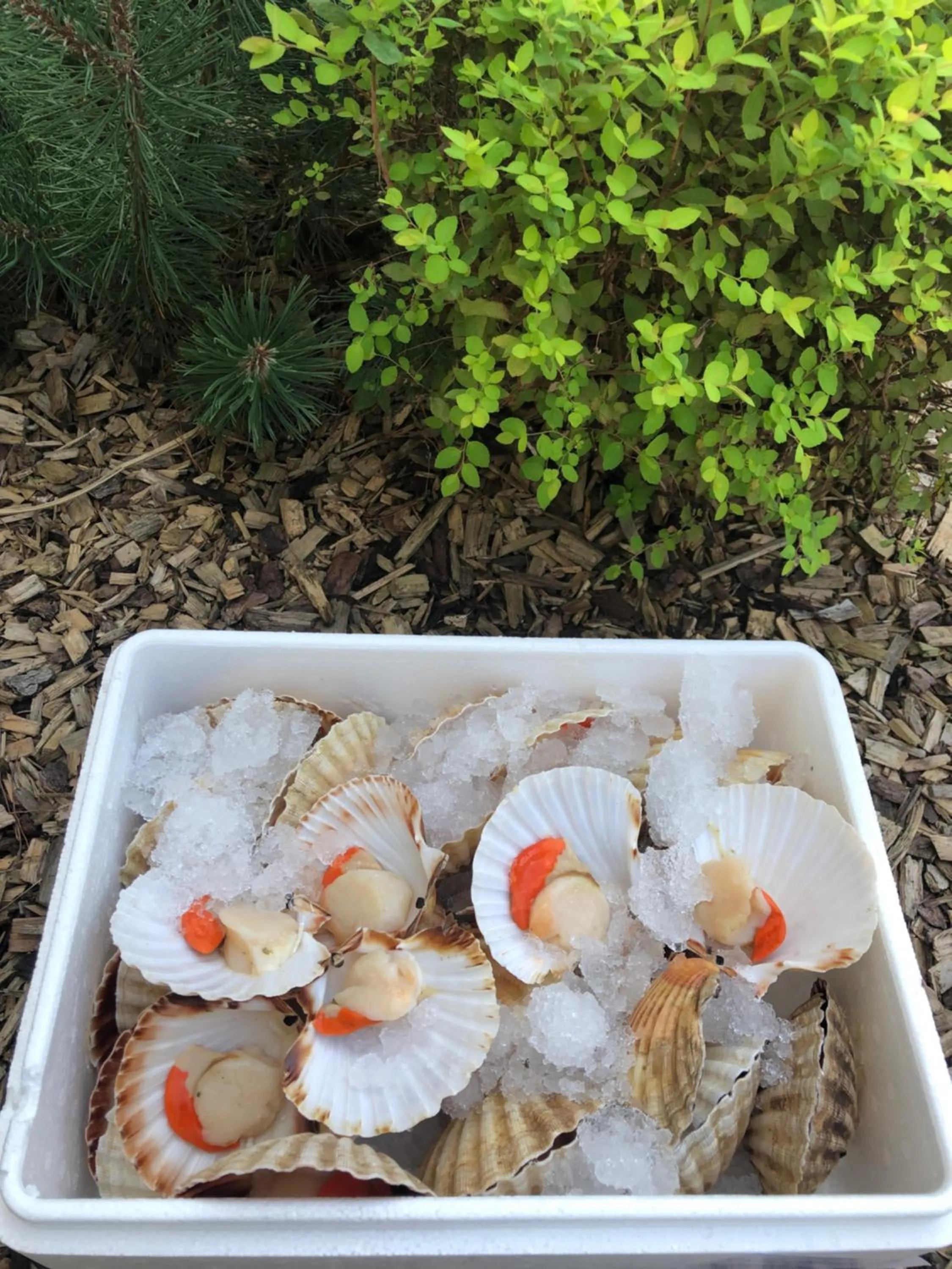 Na Vasi restavracija in prenočišča