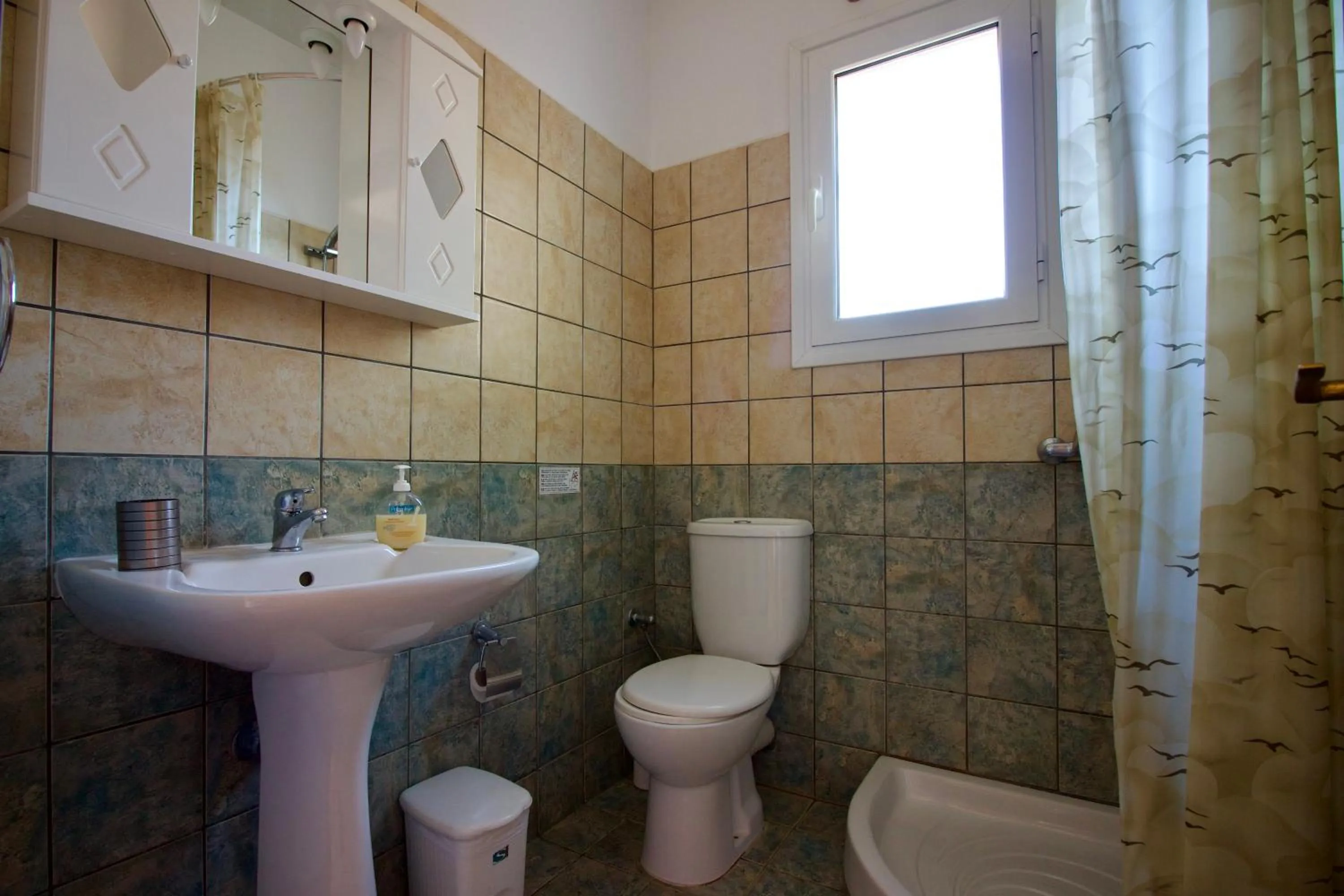 Shower in Aggelina's Apartments