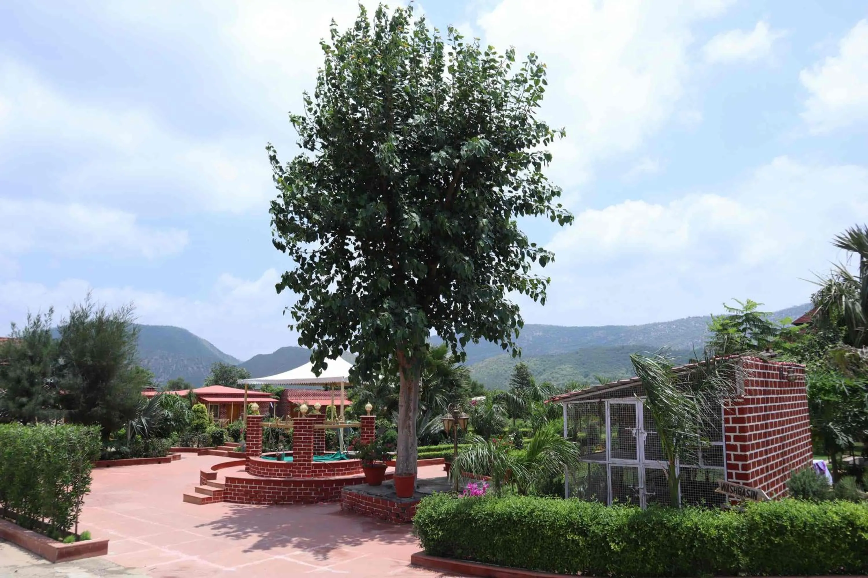 DESI THATH RESORT