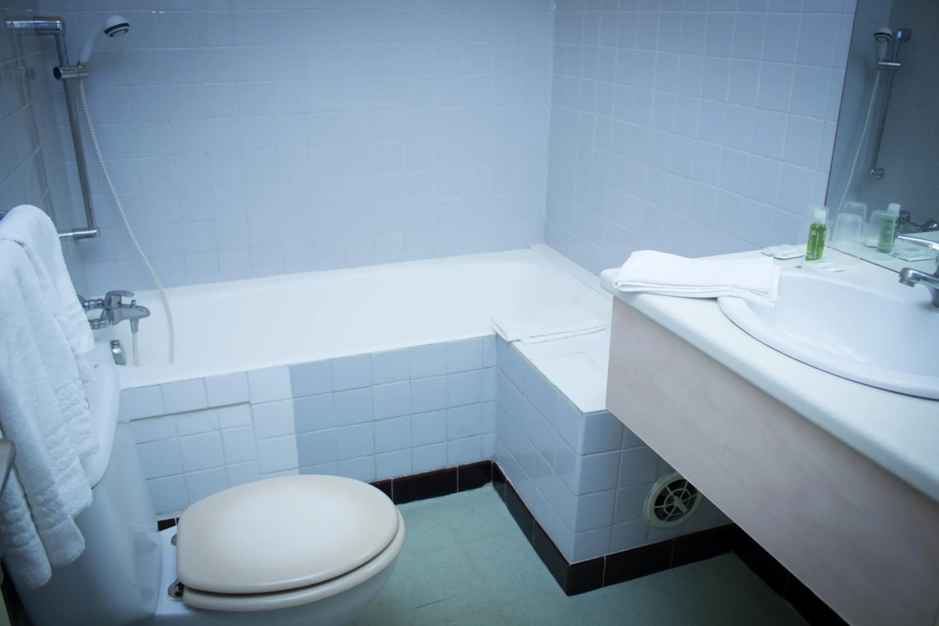 Toilet in Le Terminus